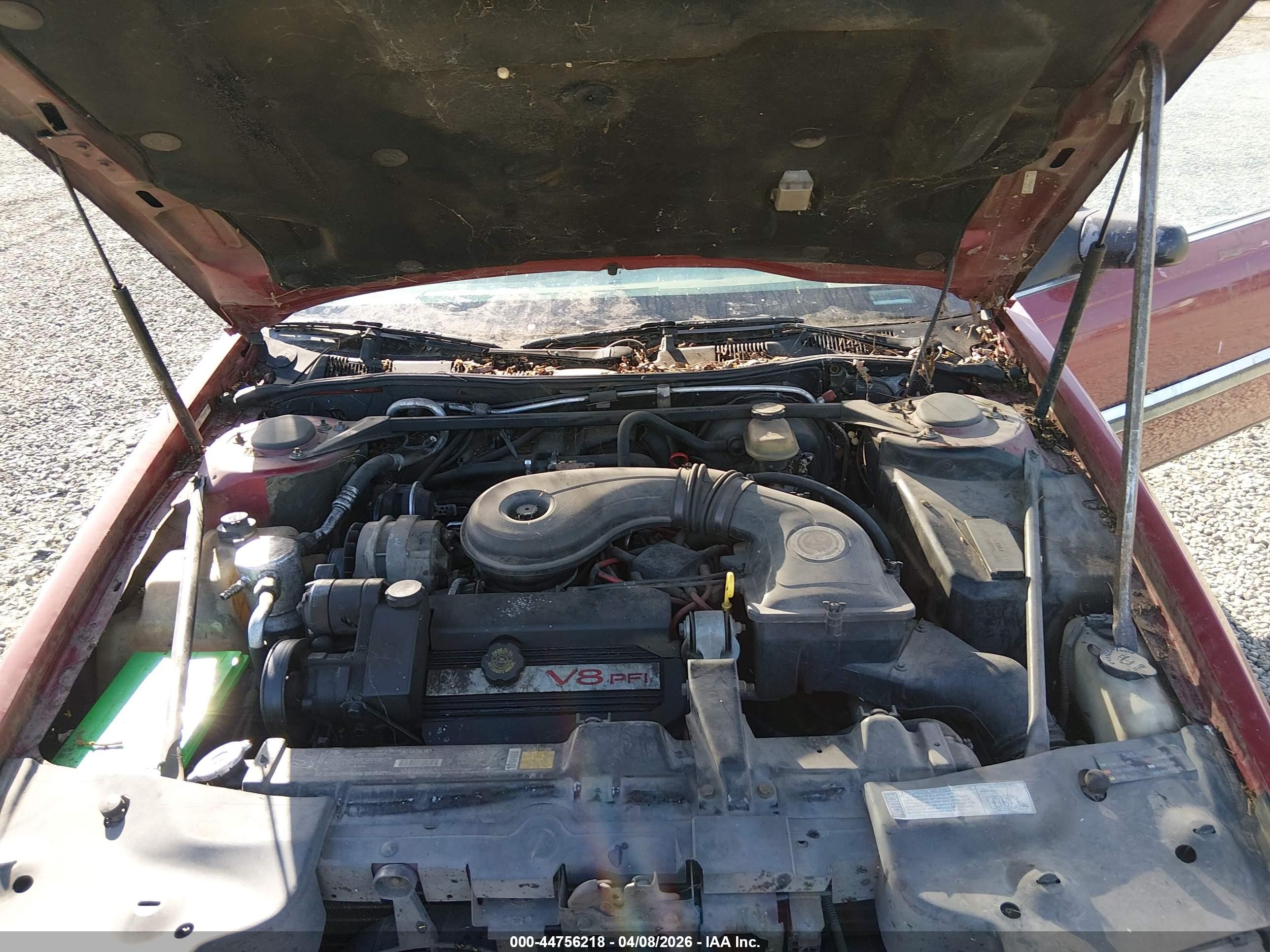 1992 Cadillac Eldorado   Красный vin: 1G6EL13B4NU626105