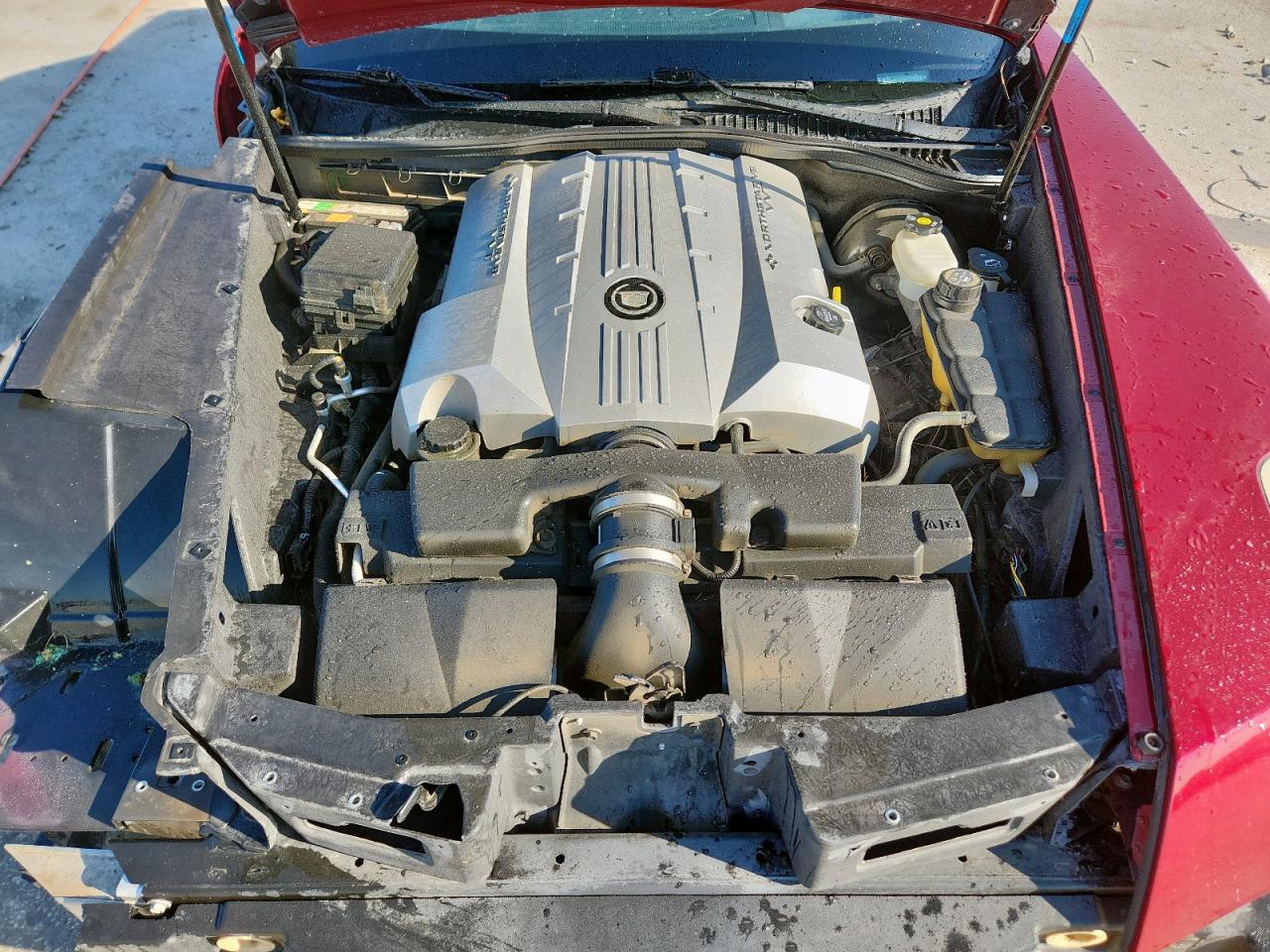 2006 Cadillac Xlr Красный vin: 1G6YV36A865603167