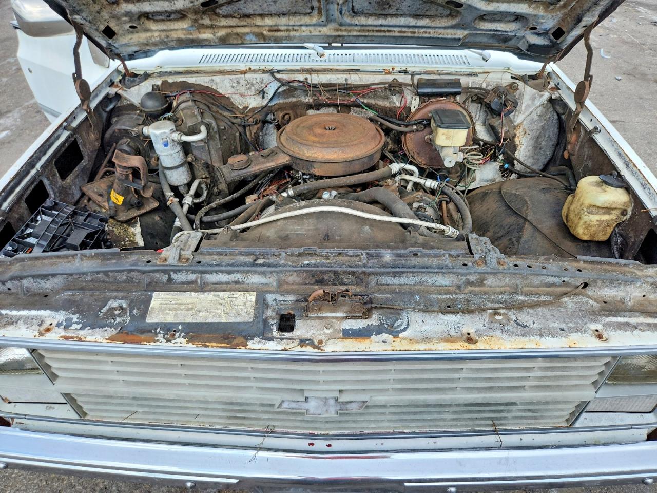 1983 Chevrolet C10 White vin: 1GCCC14H5DF305331