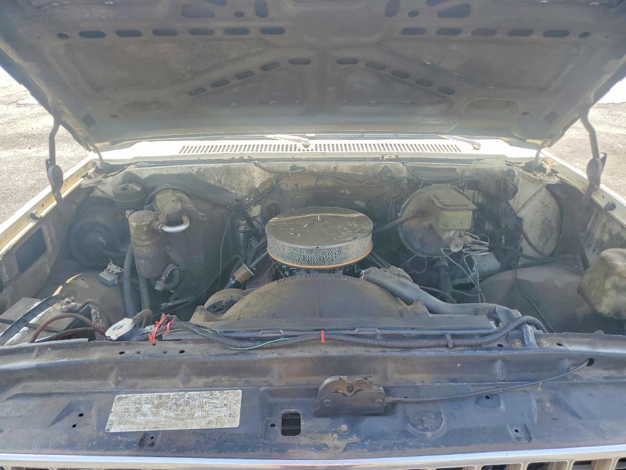1981 Chevrolet C10 Cream vin: 1GCCC14H8BS152125