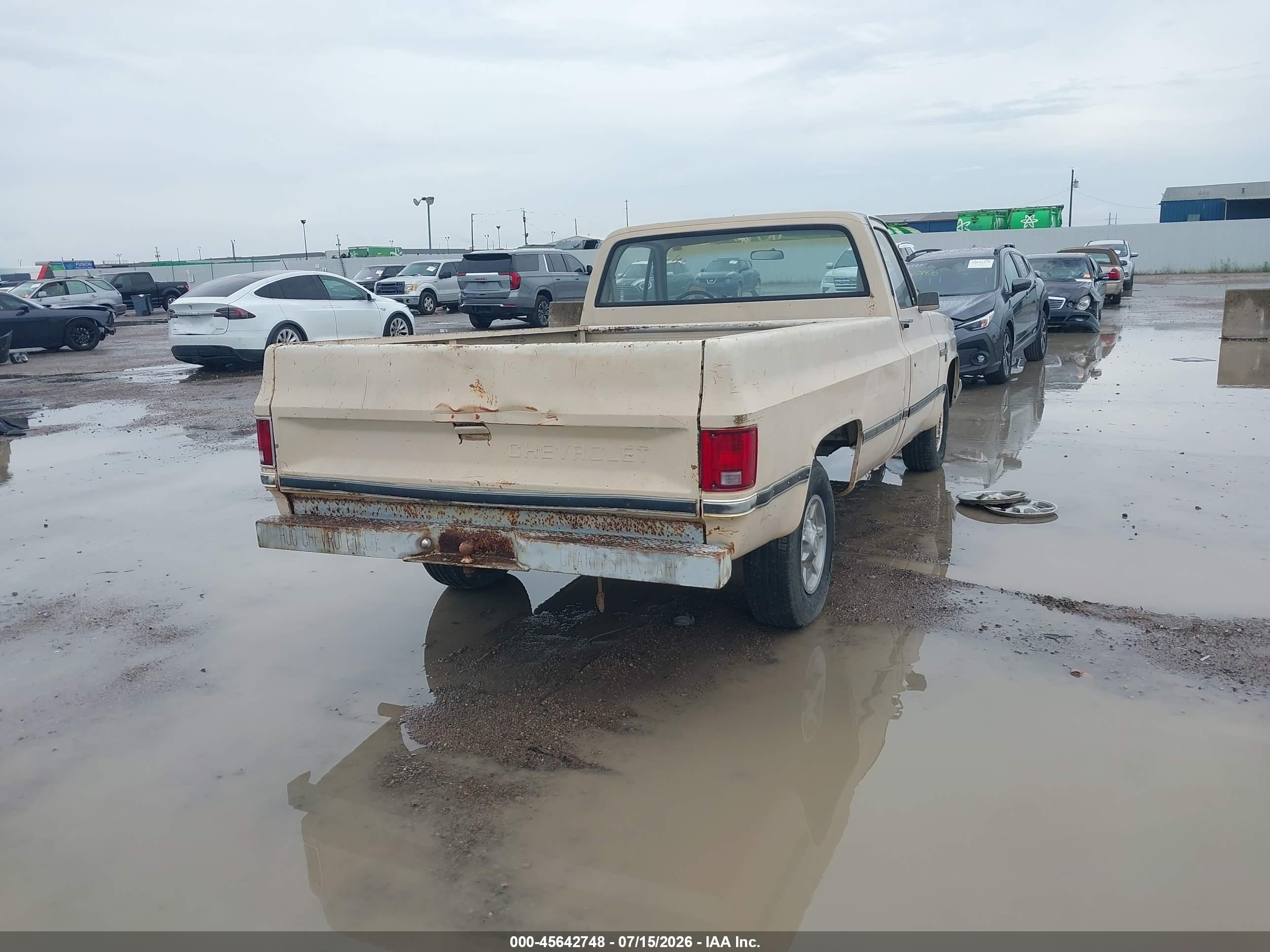 1985 Chevrolet C10 Beige vin: 1GCCC14N0FS153863