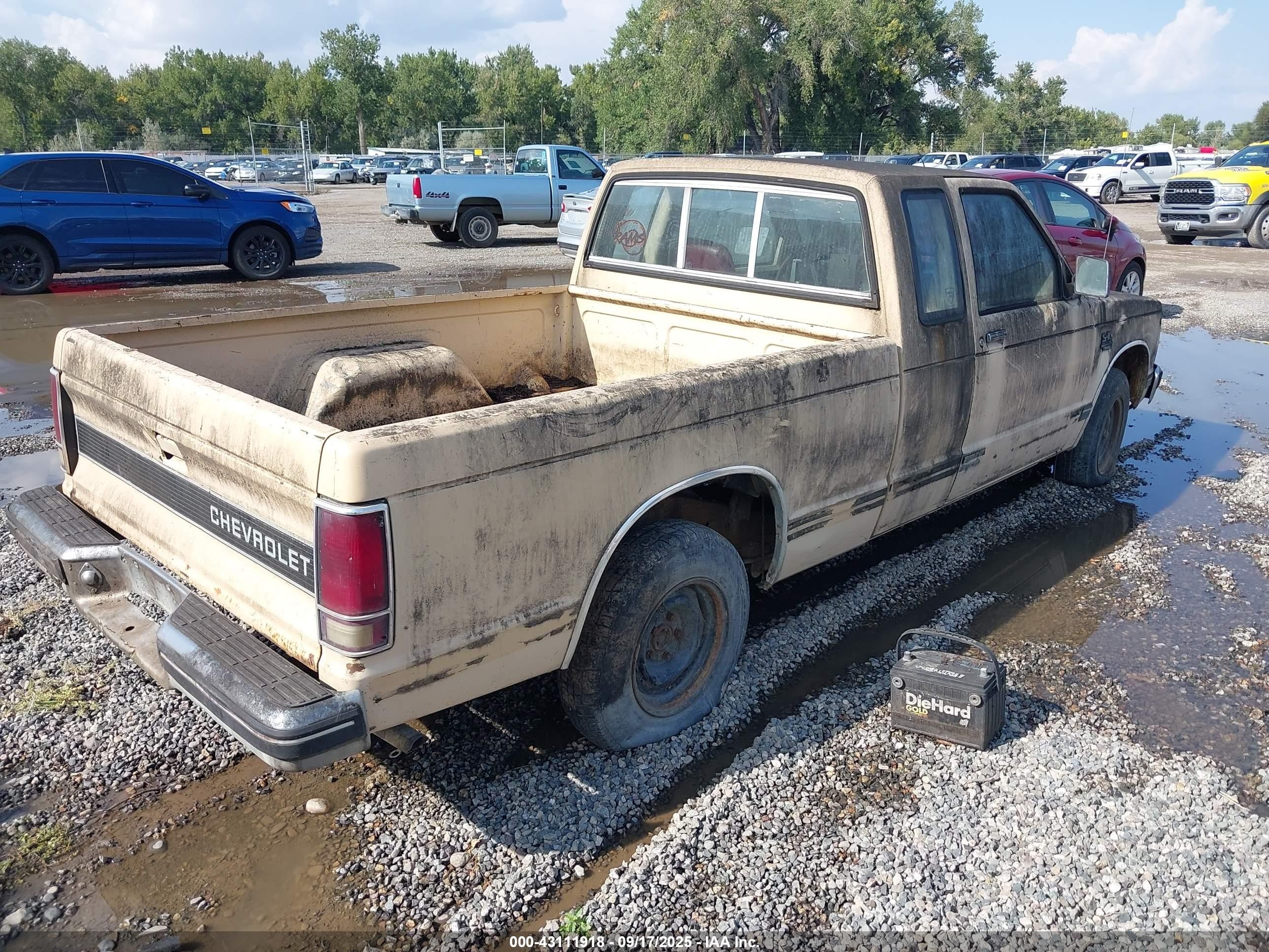 1983 Chevrolet S Truck S10 Cream vin: 1GCCS14B6D0141914