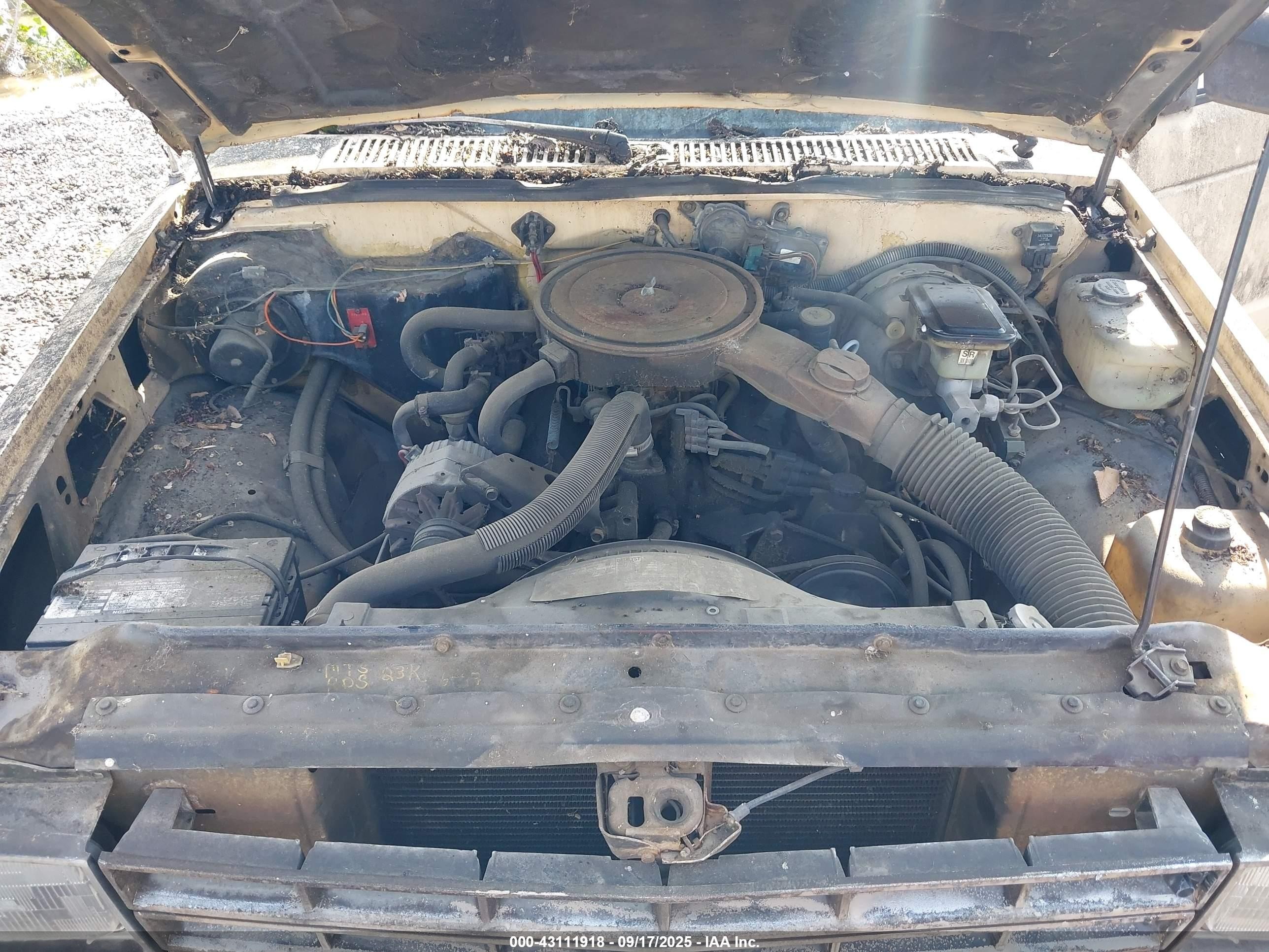 1983 Chevrolet S Truck S10 Cream vin: 1GCCS14B6D0141914