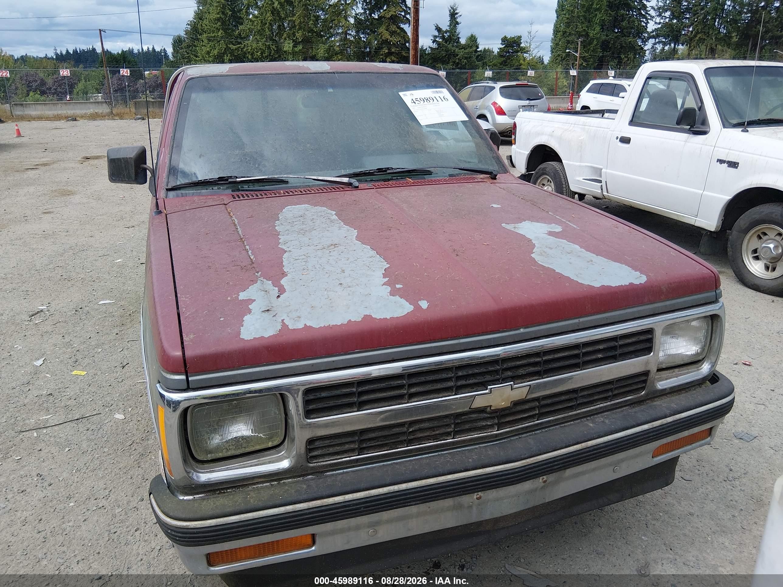 1991 Chevrolet S Truck S10 Purple vin: 1GCCS14R4M8308589