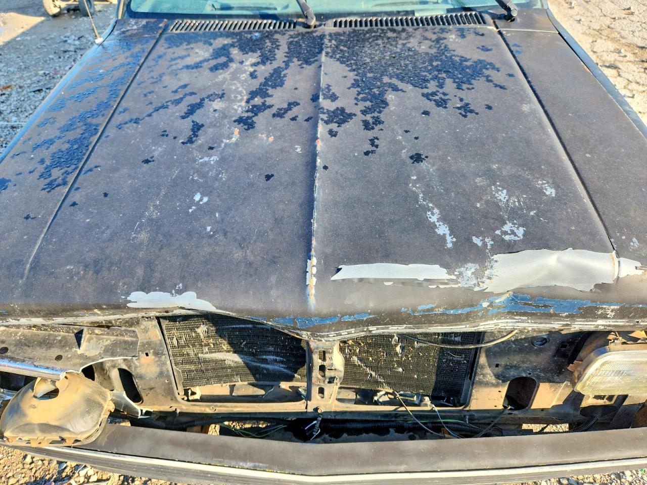 1991 Chevrolet S Truck S10 Black vin: 1GCCS14Z4M0149040