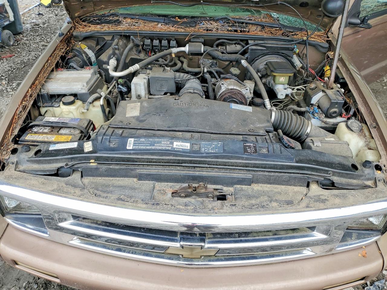 1996 Chevrolet S Truck S10 Желто-коричневый vin: 1GCCS1940T8114511