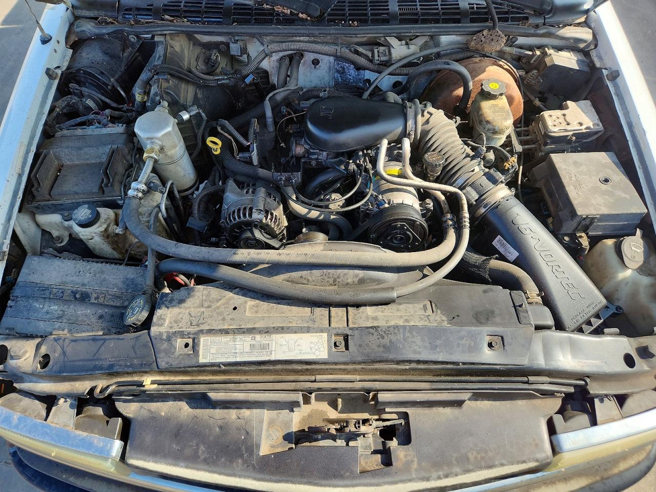 2002 Chevrolet S Truck S10 Белый vin: 1GCCS19W428241620