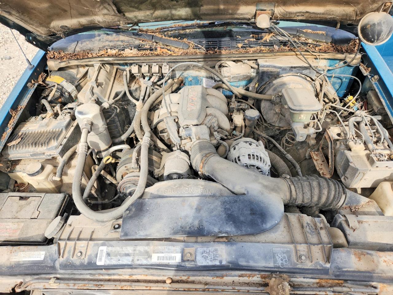 1995 Chevrolet S Truck S10 Green vin: 1GCCS19W7S8191084