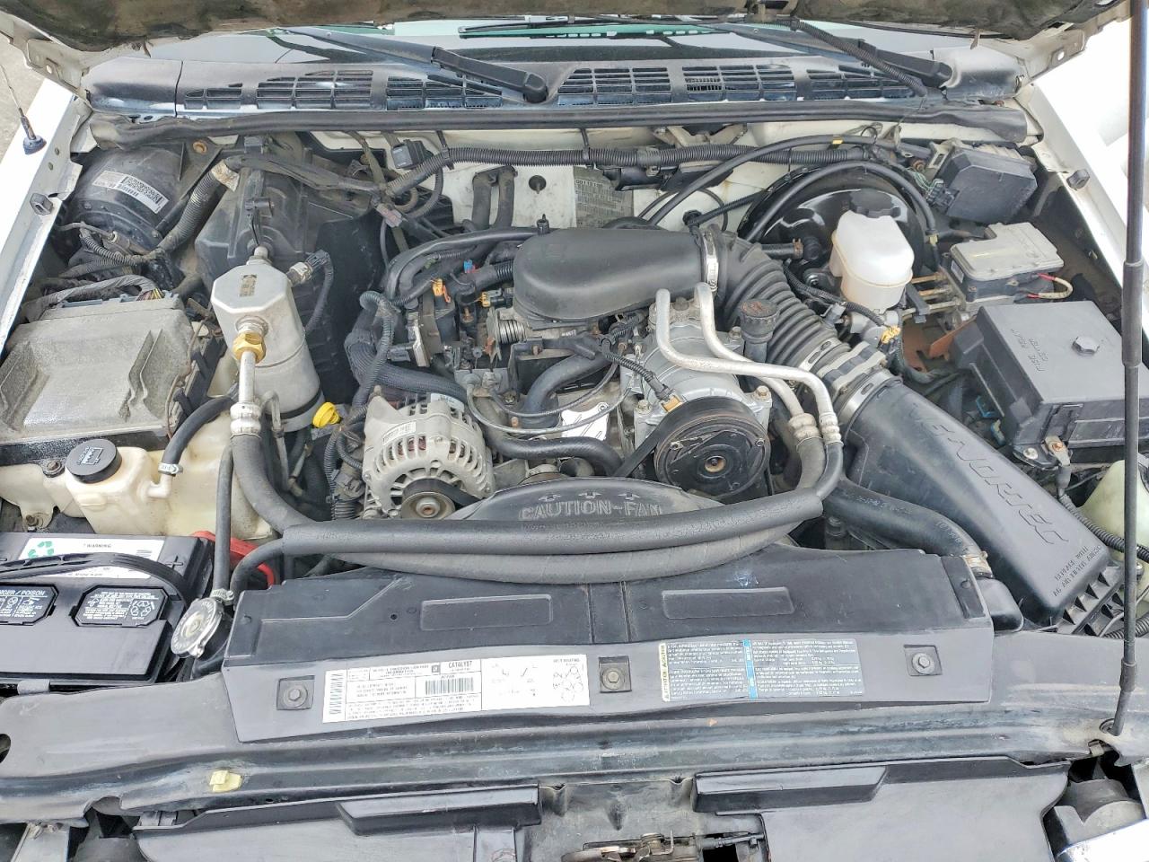 2003 Chevrolet S Truck S10 White vin: 1GCCS19X638107217