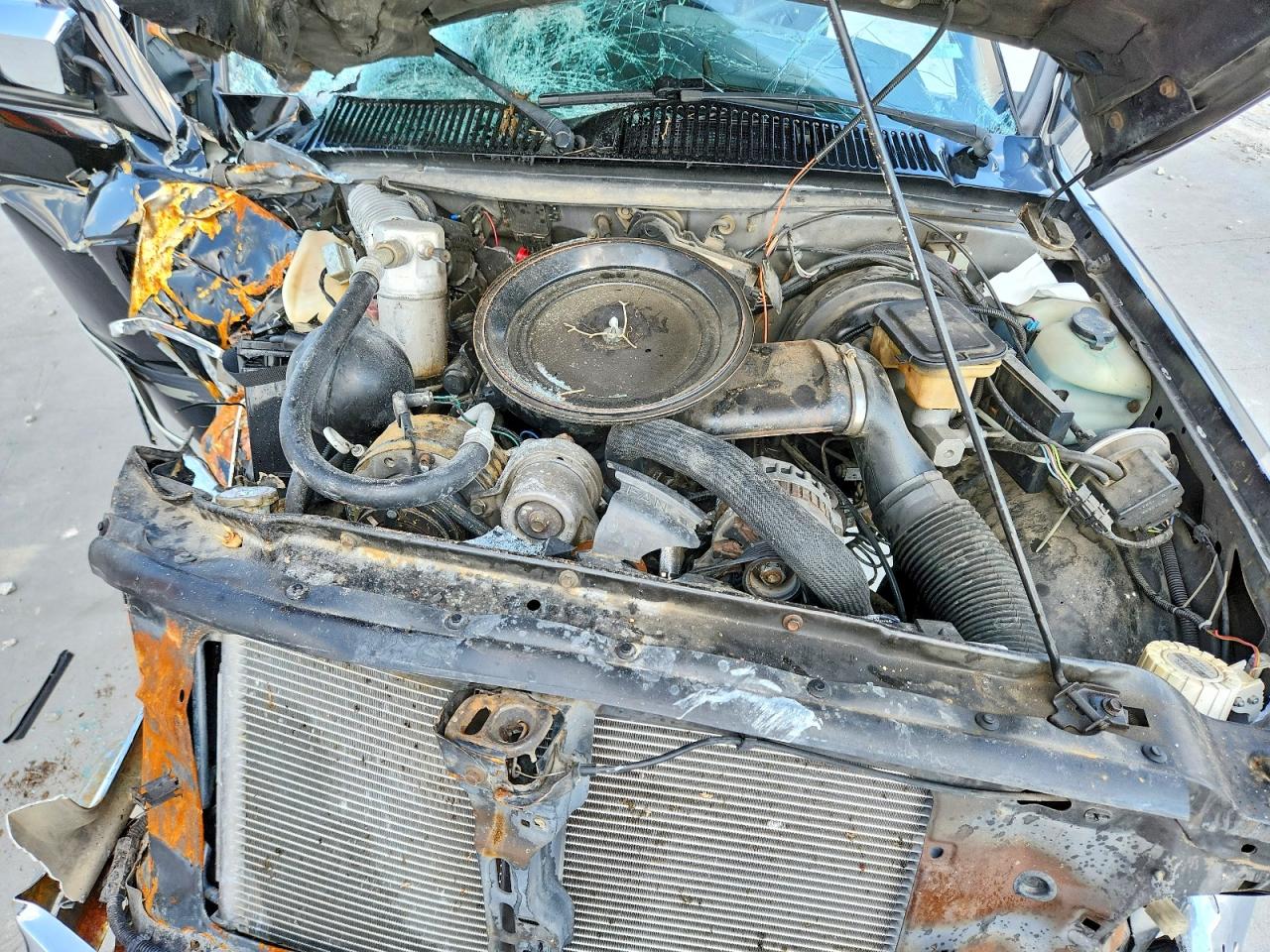 1991 Chevrolet S Truck S10 Черный vin: 1GCCS19Z9M2262866