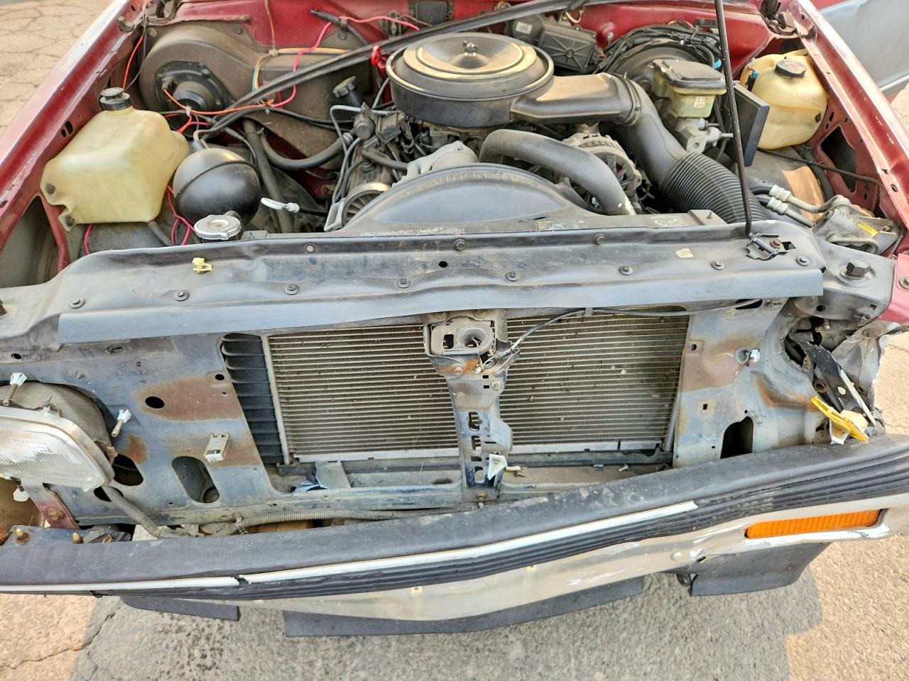 1992 Chevrolet S Truck S10 Red vin: 1GCCT14Z9N8210270
