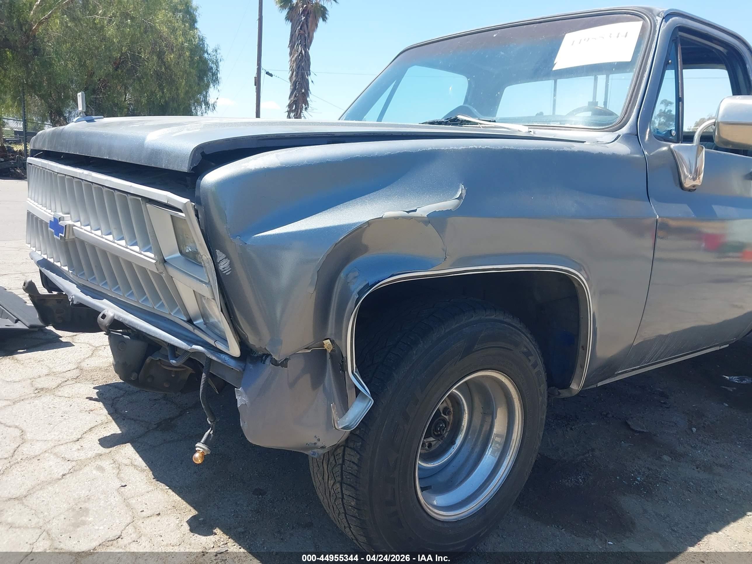 1982 Chevrolet C10   Silver vin: 1GCDC14F1CS109279