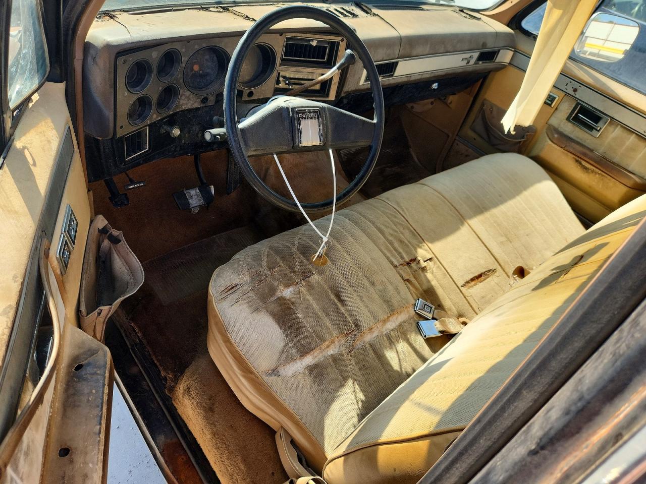 1986 Chevrolet C10 Желто-коричневый vin: 1GCDC14H5GS196238