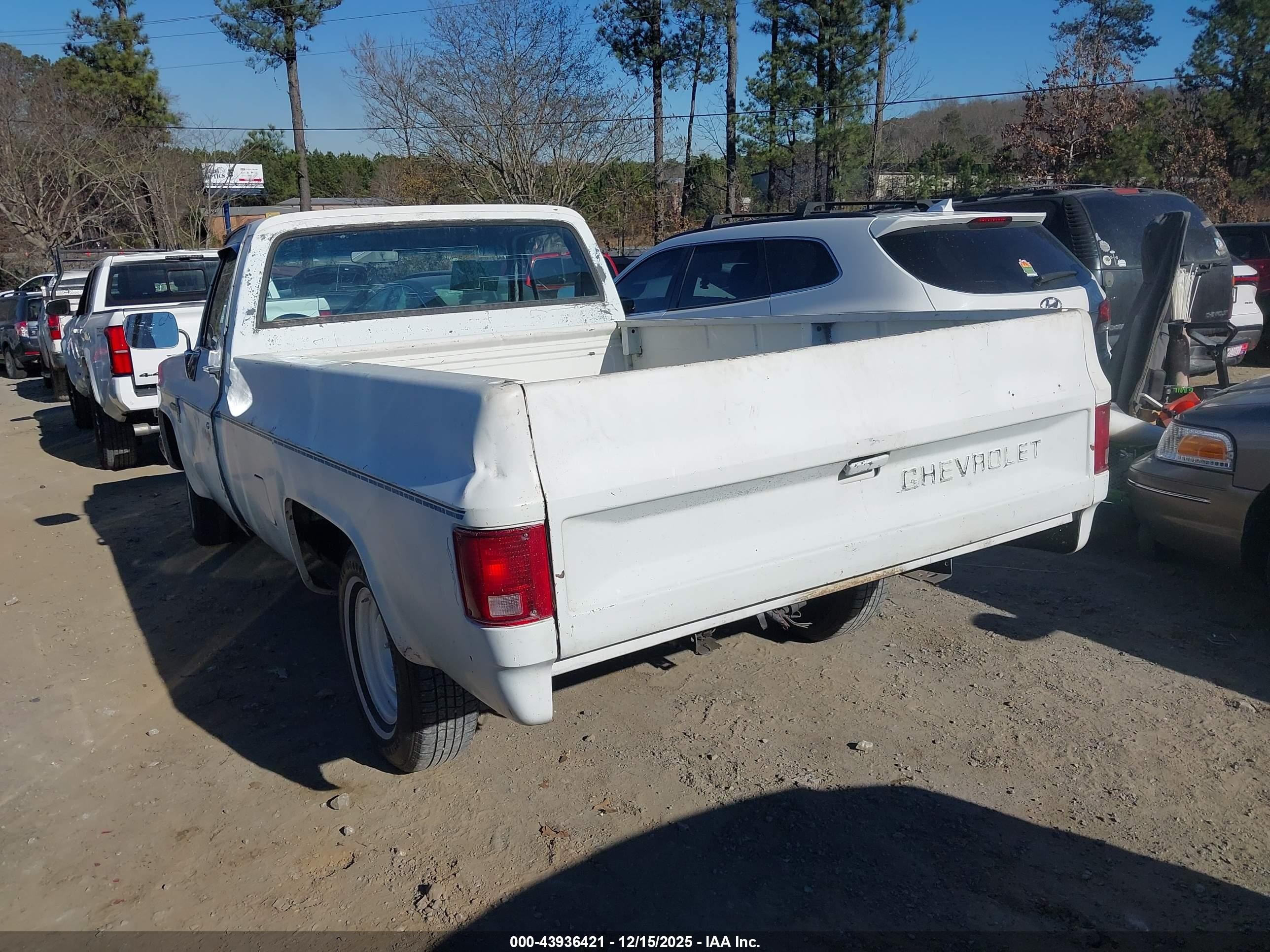 1982 Chevrolet C10   White vin: 1GCDC14H7CJ162608