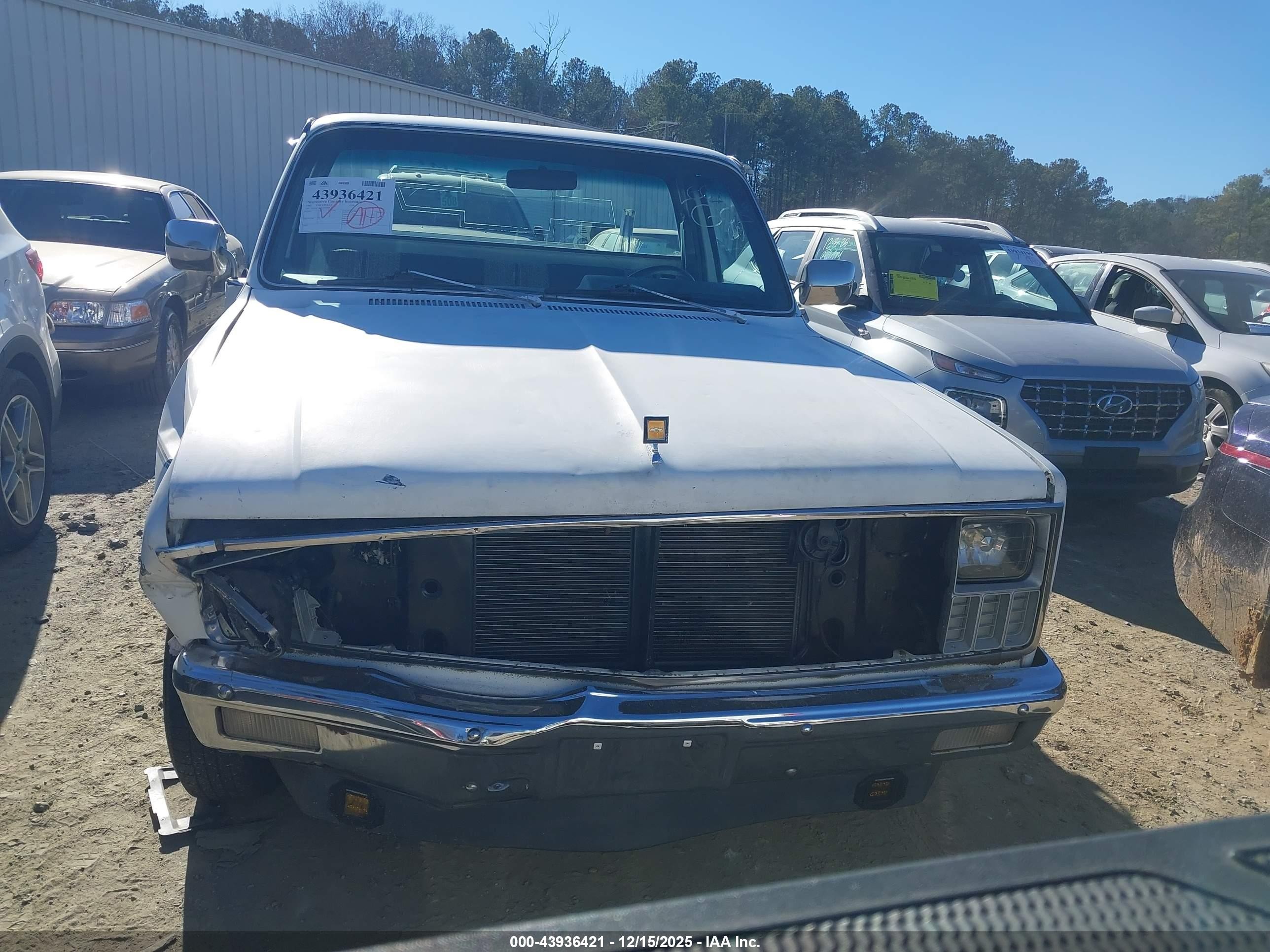 1982 Chevrolet C10   White vin: 1GCDC14H7CJ162608