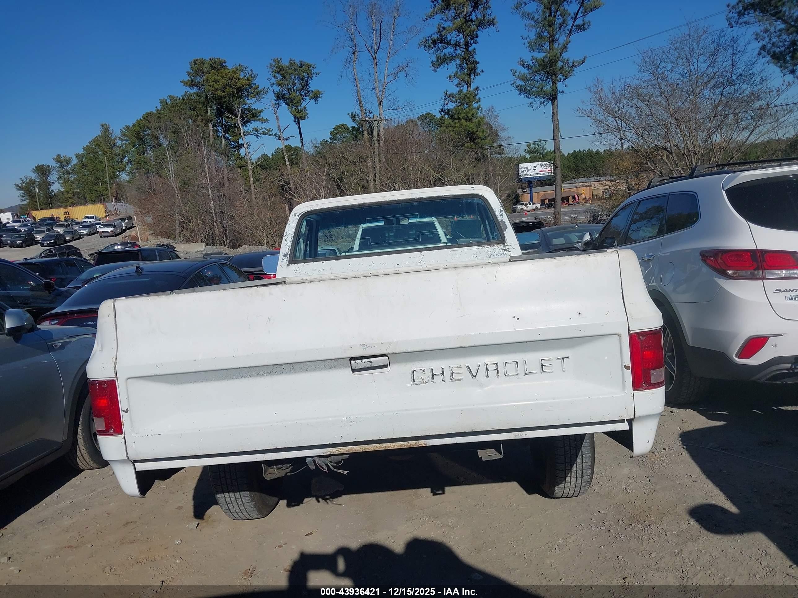 1982 Chevrolet C10   White vin: 1GCDC14H7CJ162608