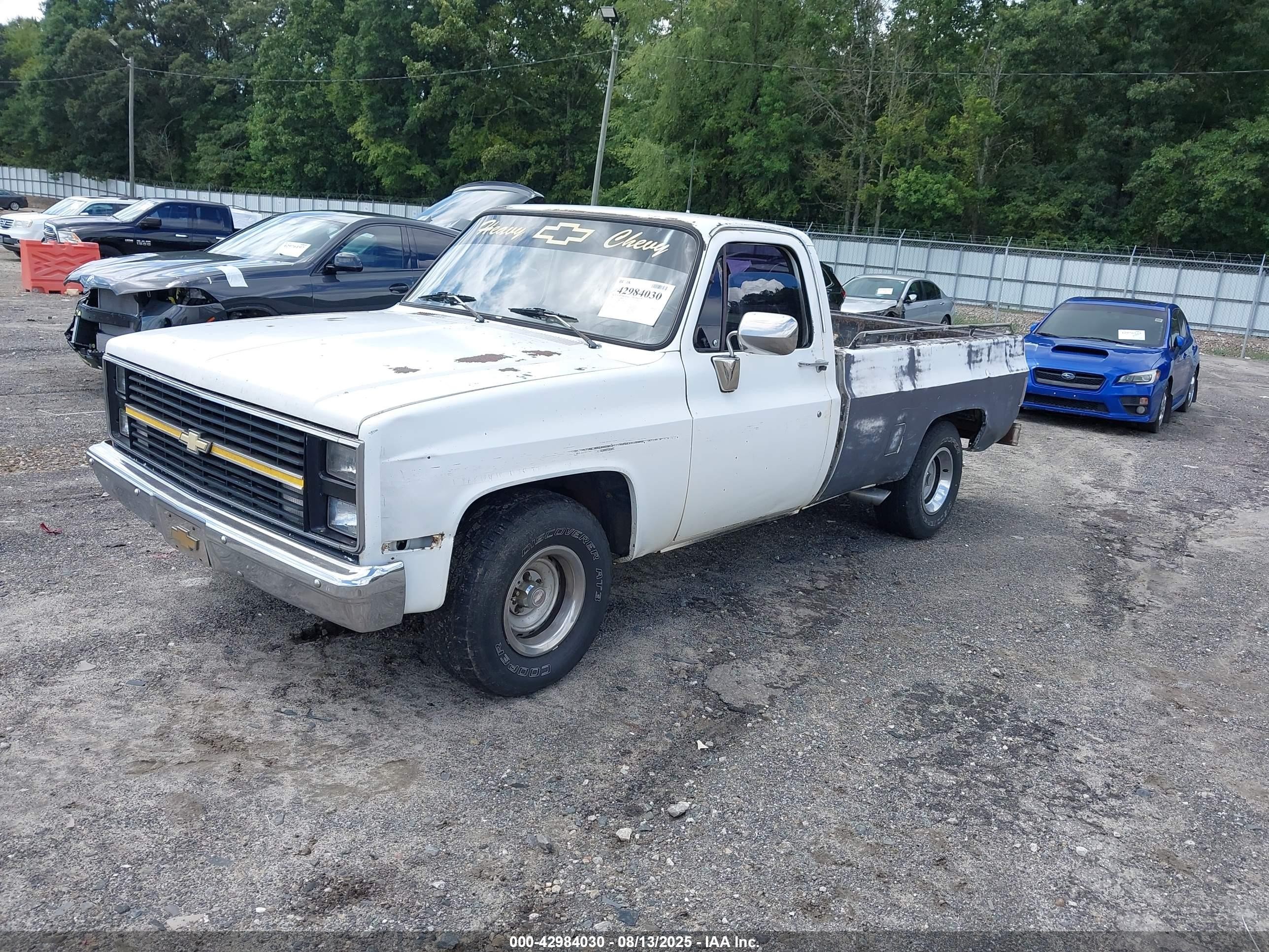 1987 Chevrolet R10   Белый vin: 1GCDR14H9HF357988
