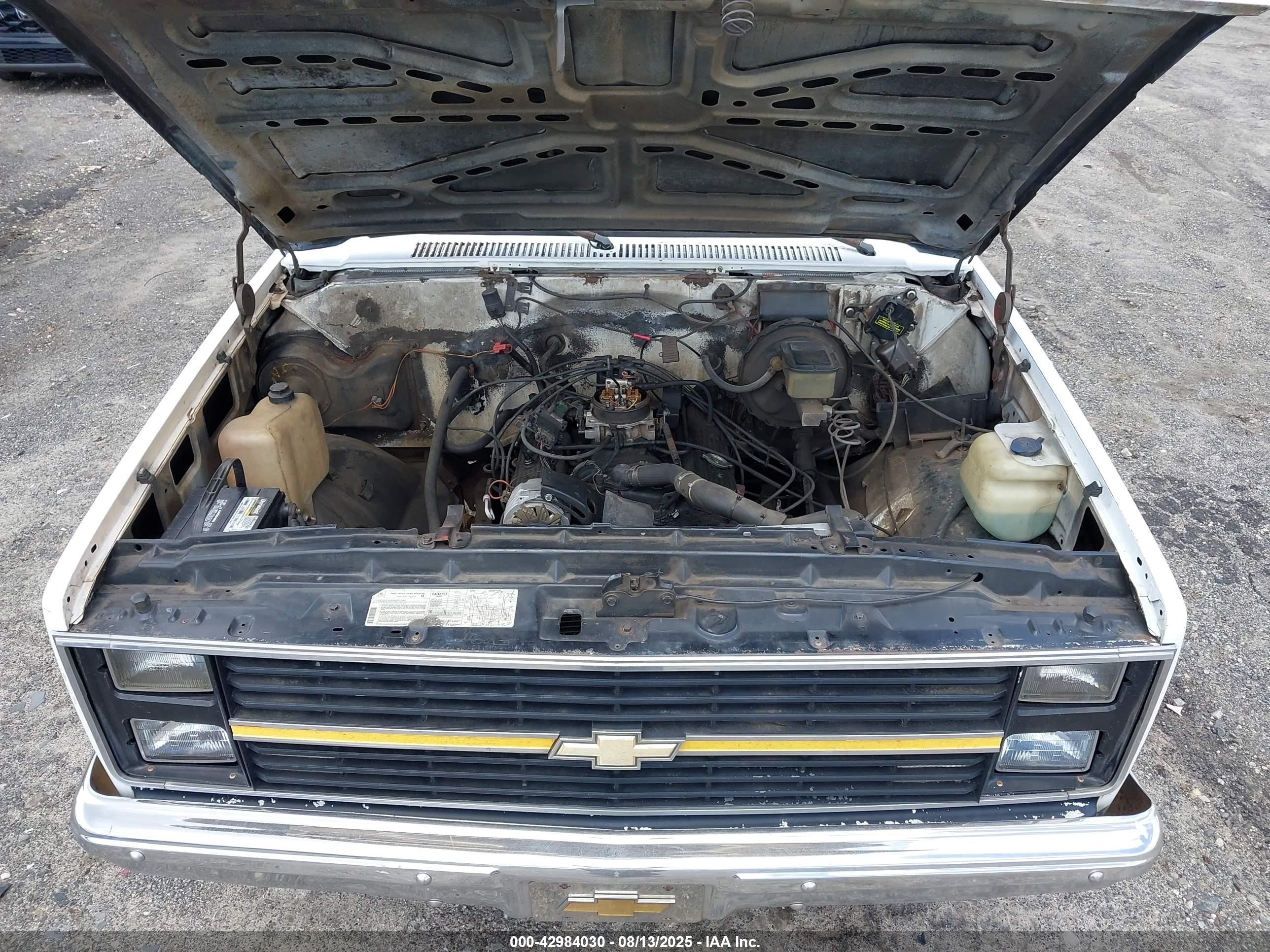 1987 Chevrolet R10   Белый vin: 1GCDR14H9HF357988