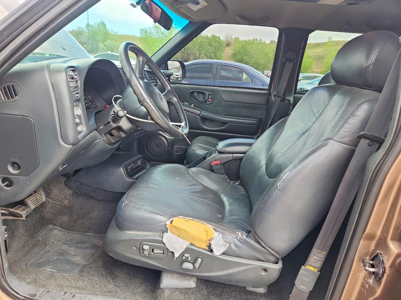2002 Chevrolet S Truck S10 Gold vin: 1GCDT13W22K154604
