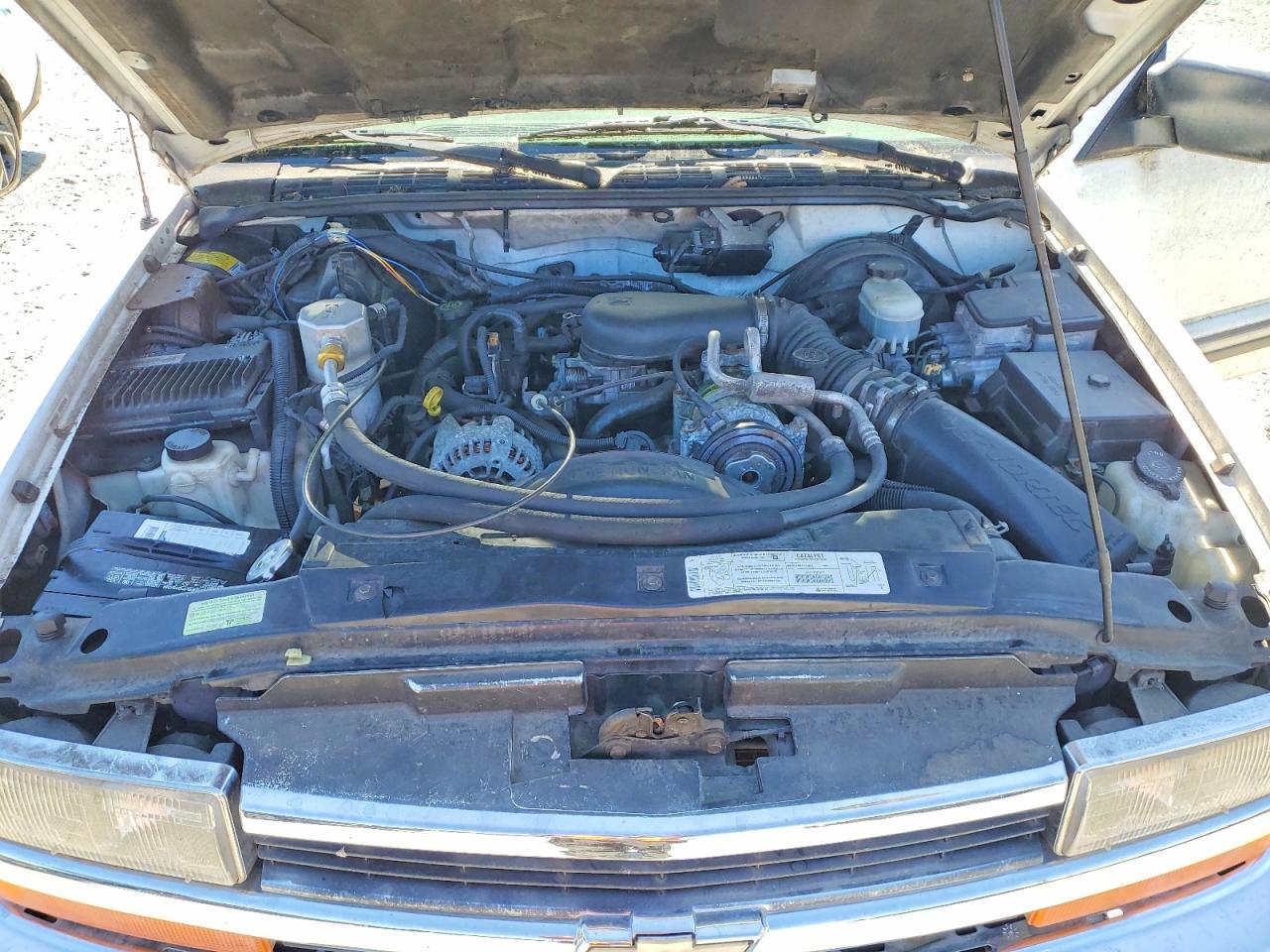 1999 Chevrolet S Truck S10 White vin: 1GCDT19XXXK155393