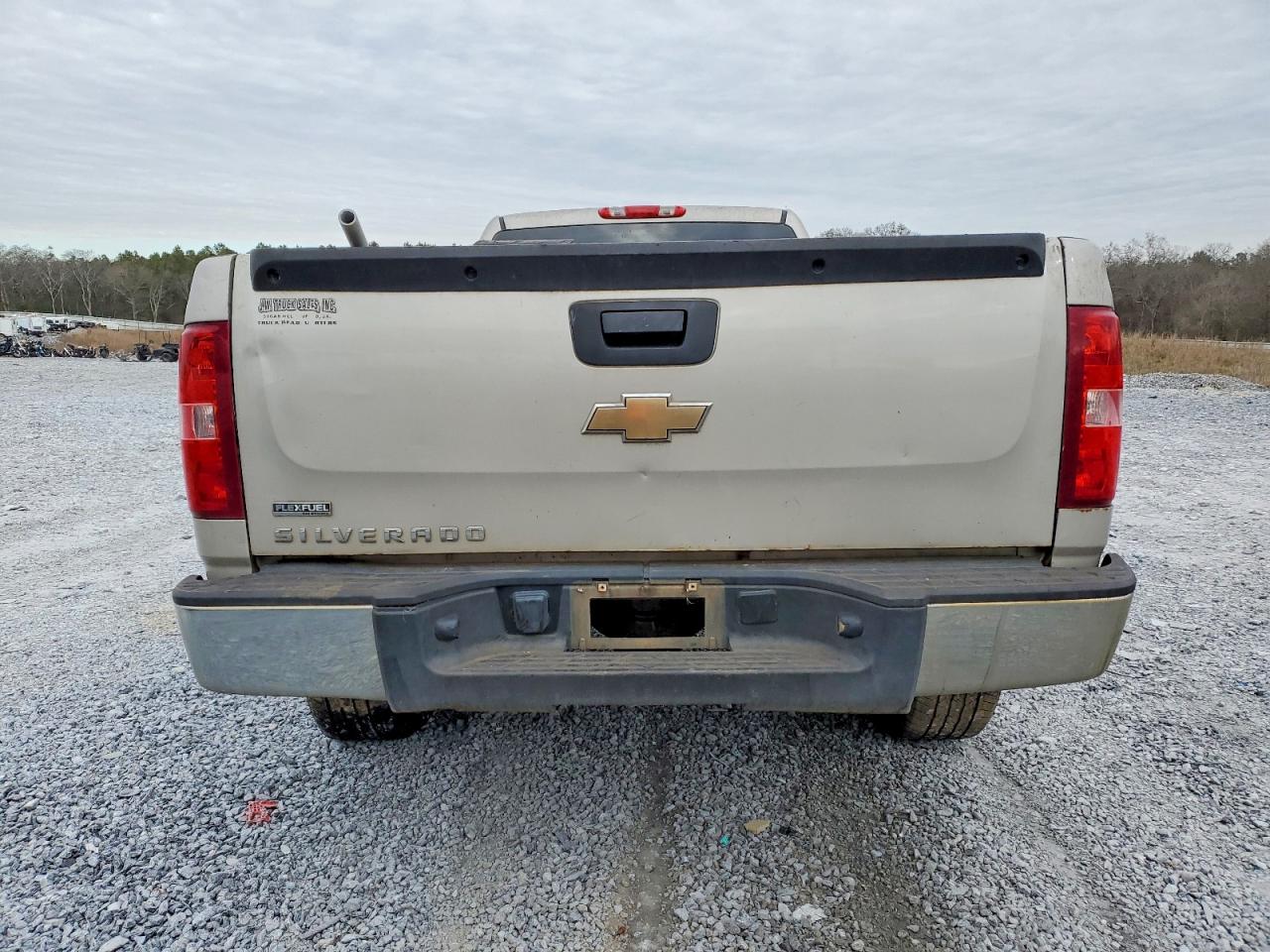 2007 Chevrolet Silverado C1500 Beige vin: 1GCEC14097E567253