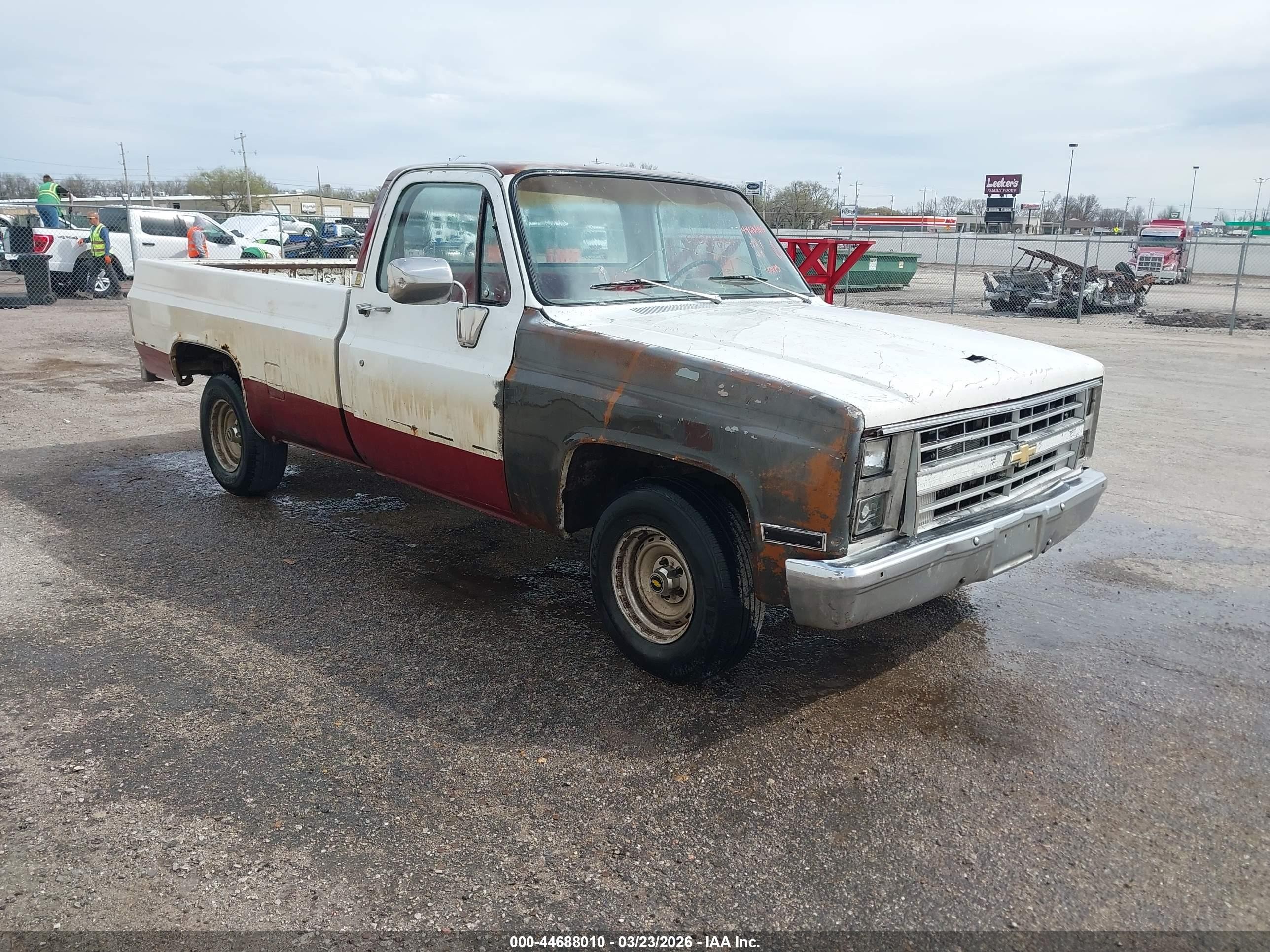 1981 Chevrolet C10   White vin: 1GCEC14H2BS185372