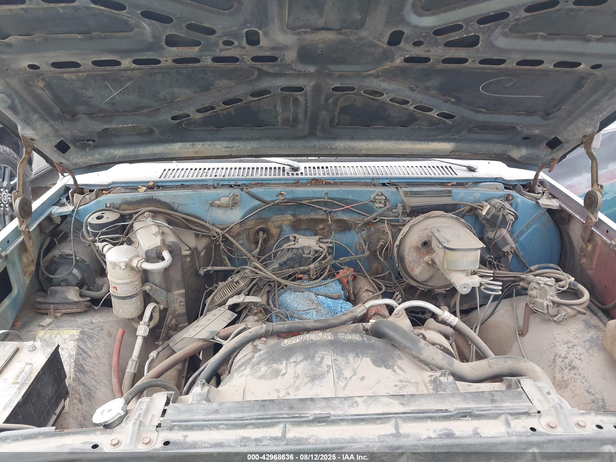 1982 Chevrolet C10   Blue vin: 1GCEC14HXCS119332