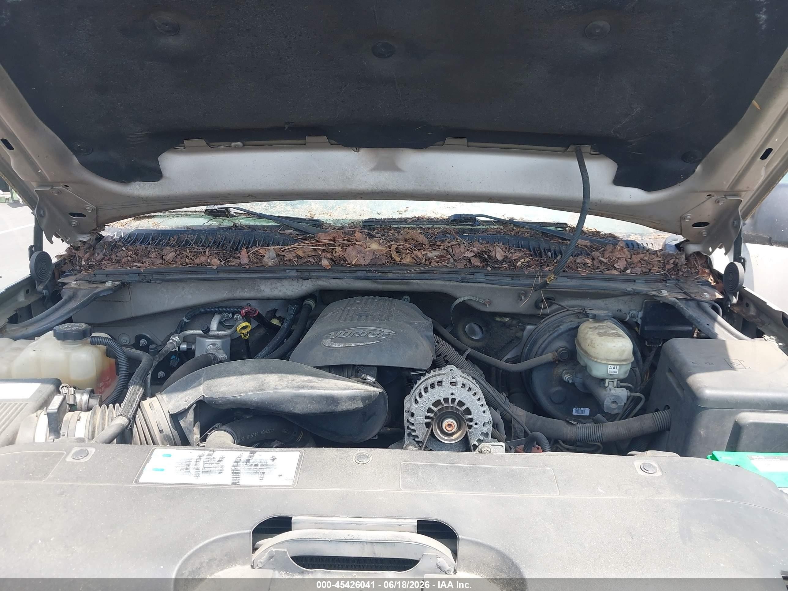 2006 Chevrolet Silverado 1500 Work Truck Бежевый vin: 1GCEC14V86E262546