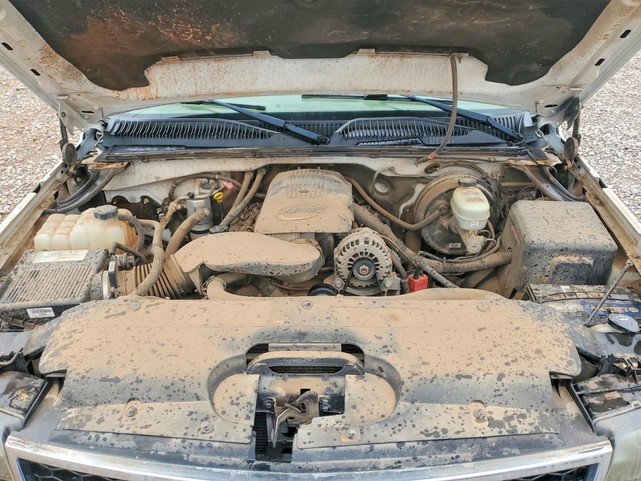 2007 Chevrolet Silverado C1500 Classic White vin: 1GCEC14V87Z113662