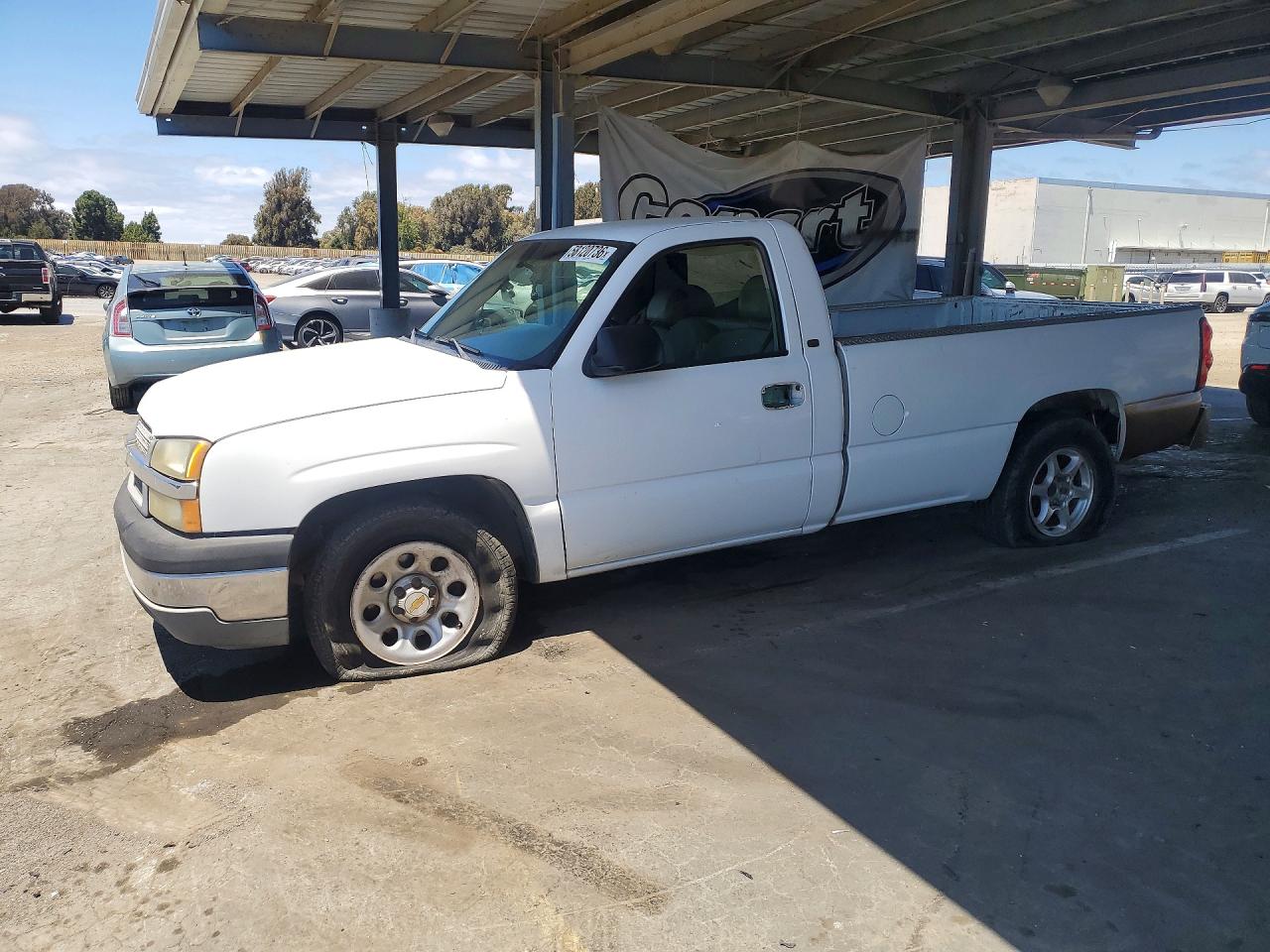 2005 Chevrolet Silverado C1500 White vin: 1GCEC14VX5Z146465