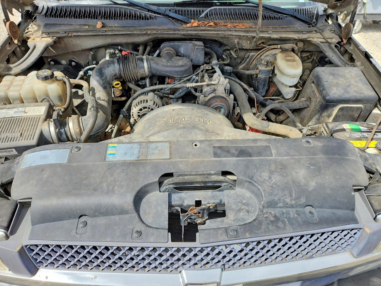 2003 Chevrolet Silverado C1500 Tan vin: 1GCEC14X23Z119355