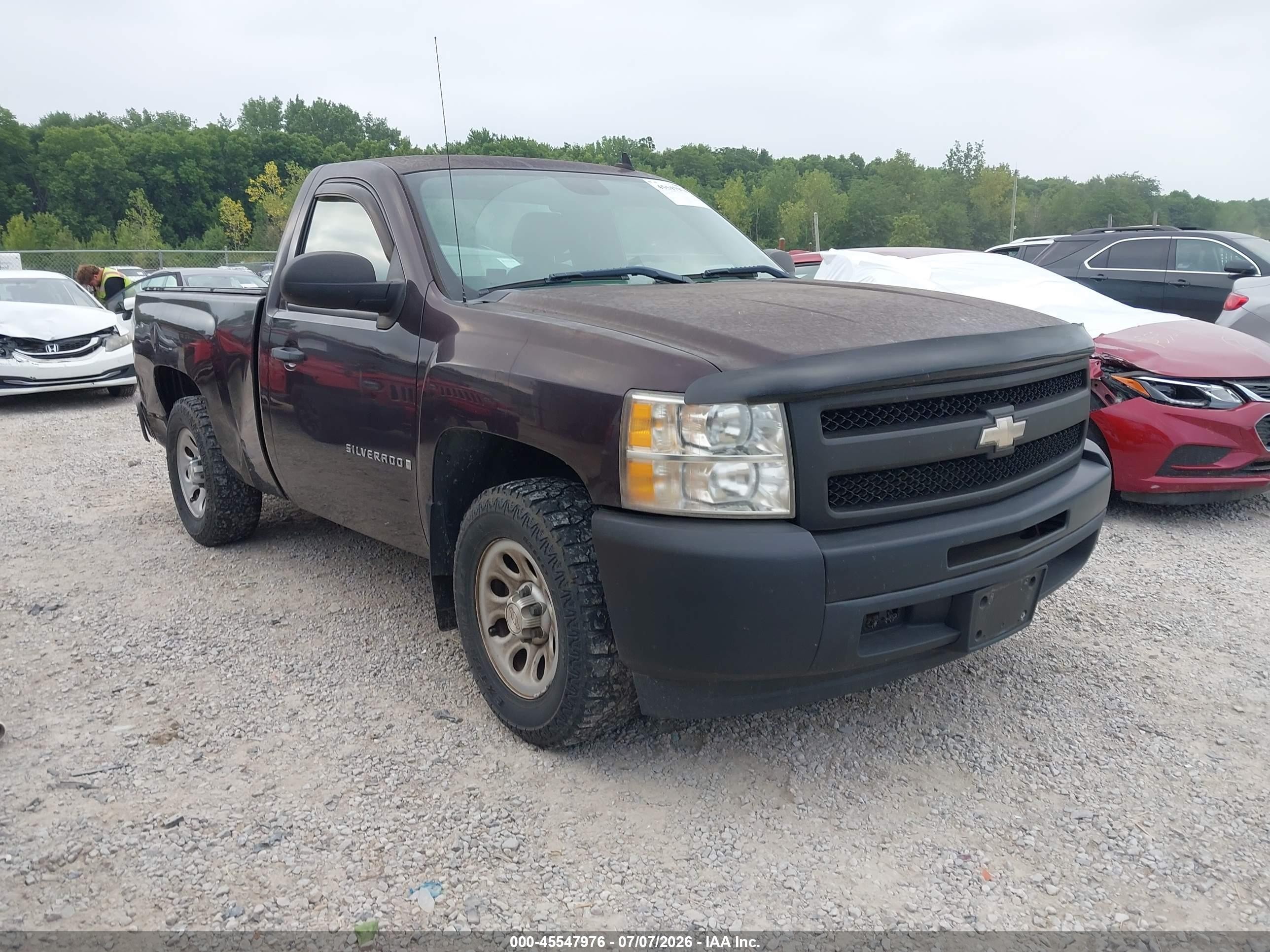 2009 Chevrolet Silverado 1500 Work Truck Purple vin: 1GCEC14X39Z115453
