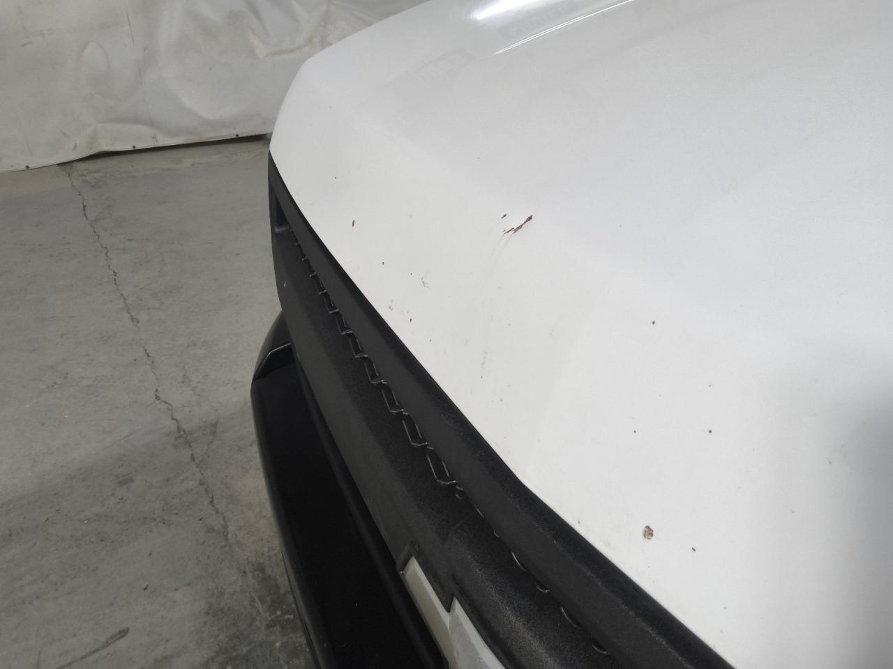 2009 Chevrolet Silverado C1500 White vin: 1GCEC14X39Z151725 Damage: Hood, Multiple Scratches Heavy, 4
