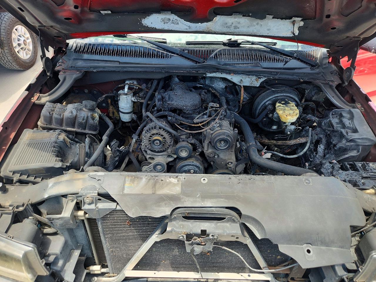 2005 Chevrolet Silverado C1500 Красный vin: 1GCEC14X75Z185998