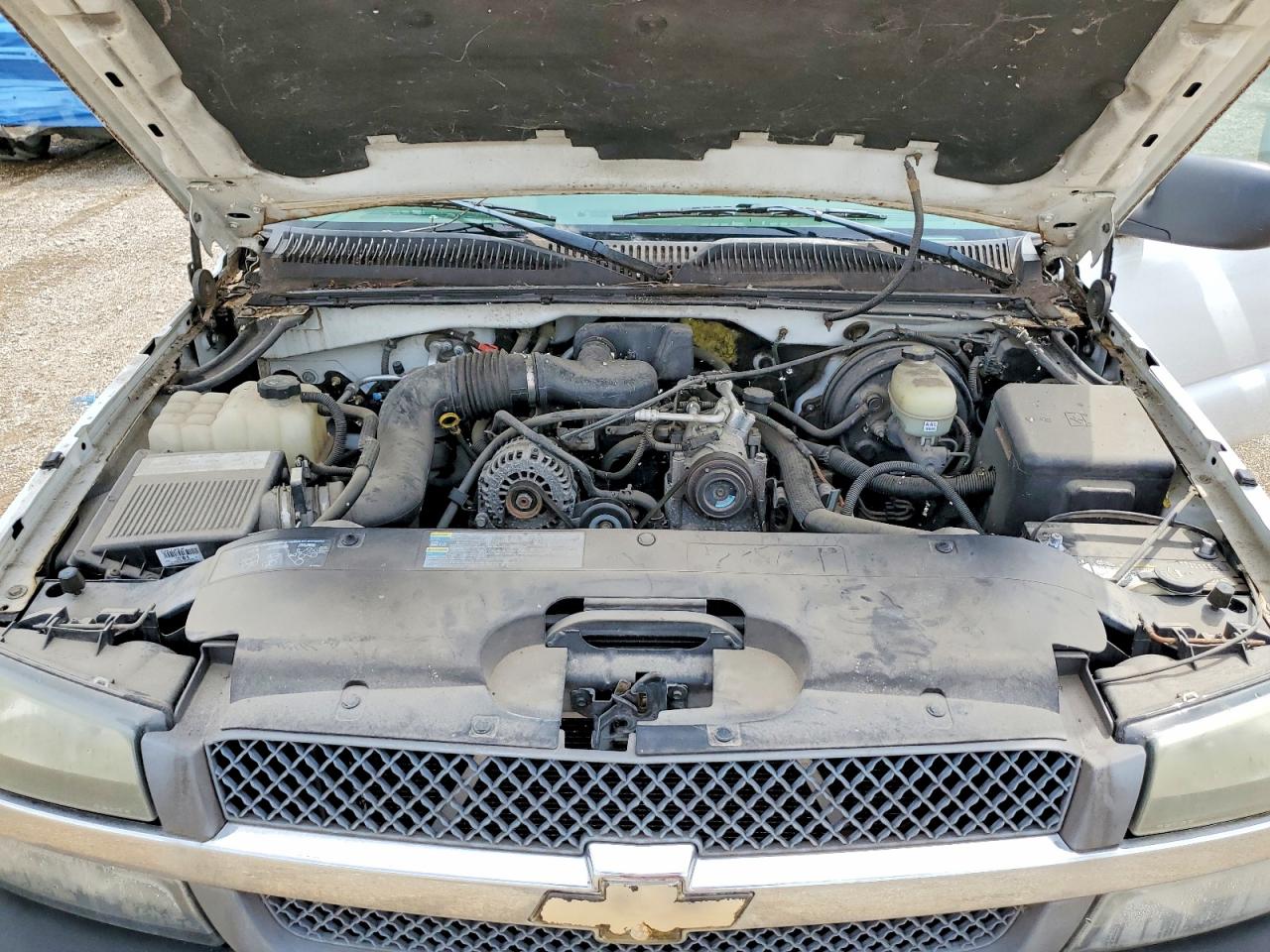 2005 Chevrolet Silverado C1500 White vin: 1GCEC14X95Z209587
