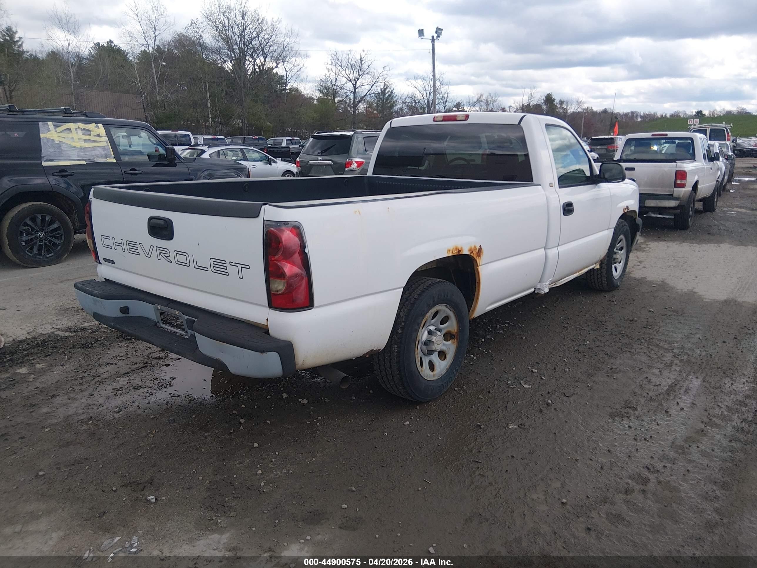 2005 Chevrolet Silverado 1500 Work Truck White vin: 1GCEC14X95Z317031
