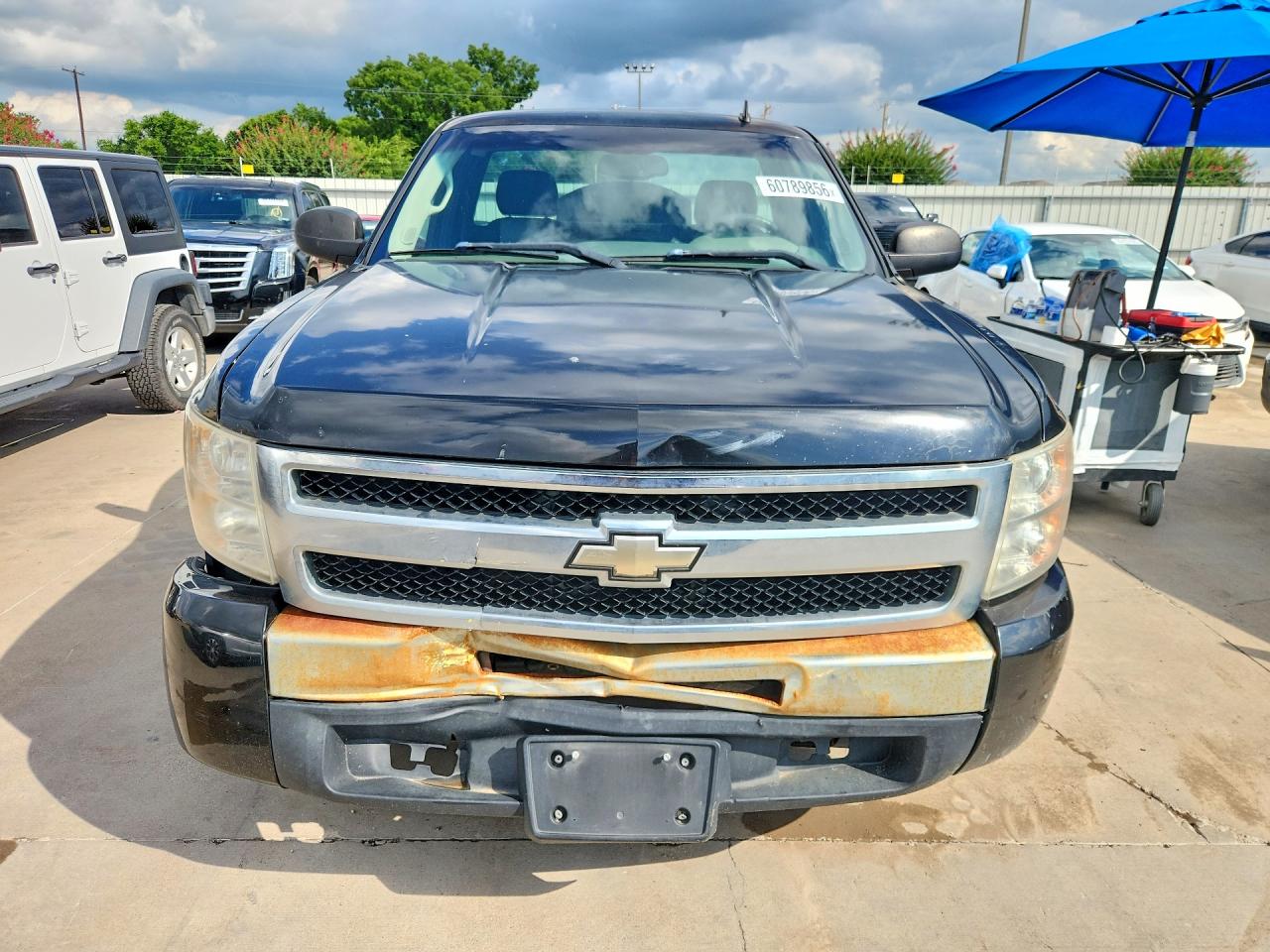 2009 Chevrolet Silverado C1500 Black vin: 1GCEC14XX9Z221463