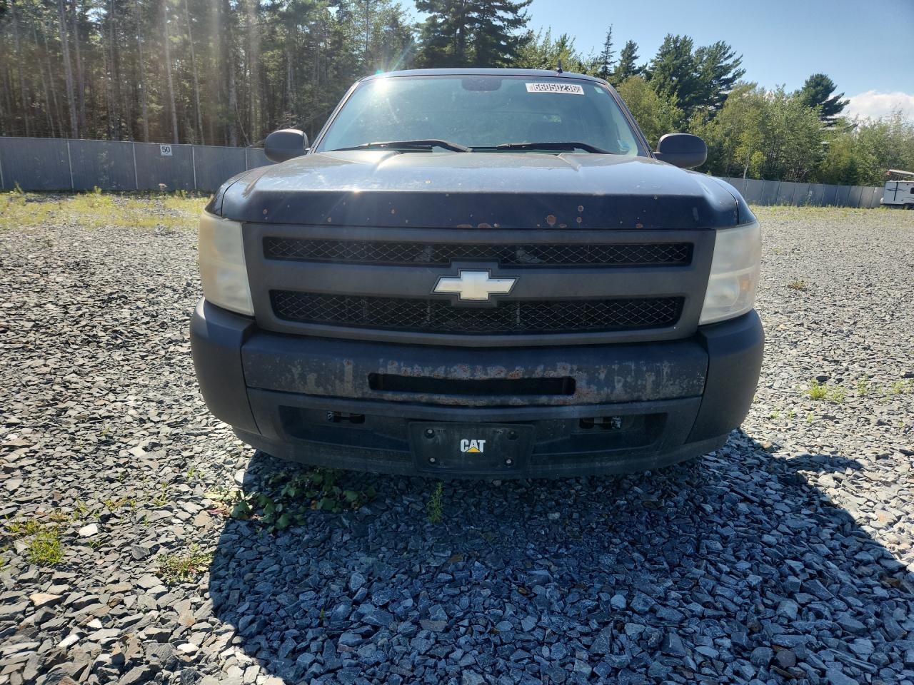 2009 Chevrolet Silverado C1500 Black vin: 1GCEC19C69Z244826 Damage: Left Head Lamp, Faded, Repair Required