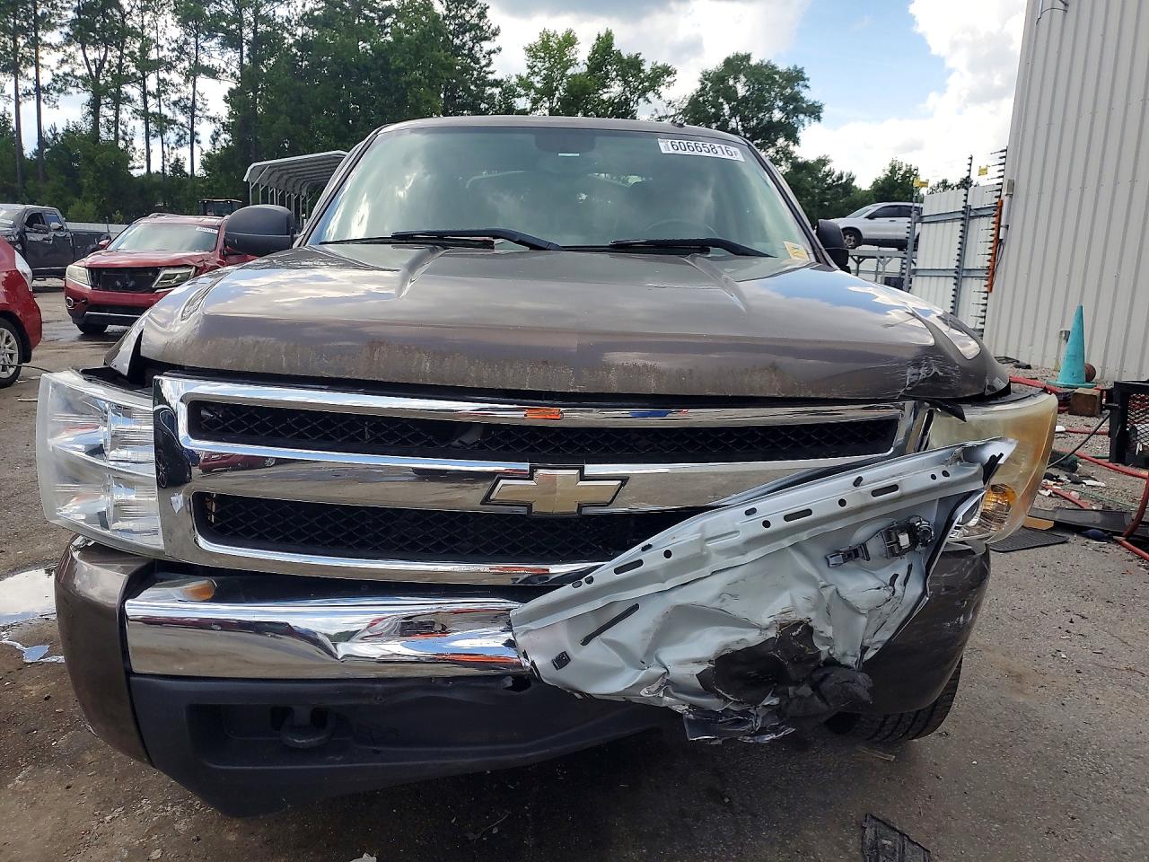 2008 Chevrolet Silverado C1500 Brown vin: 1GCEC19J38Z162534