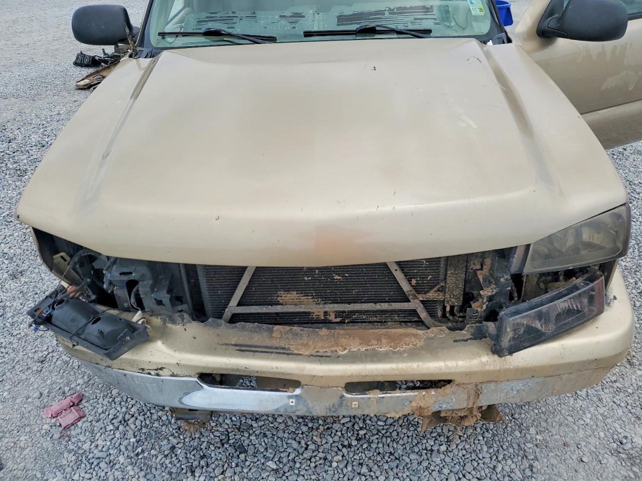 2006 Chevrolet 1500 Gold vin: 1GCEC19X36Z202127