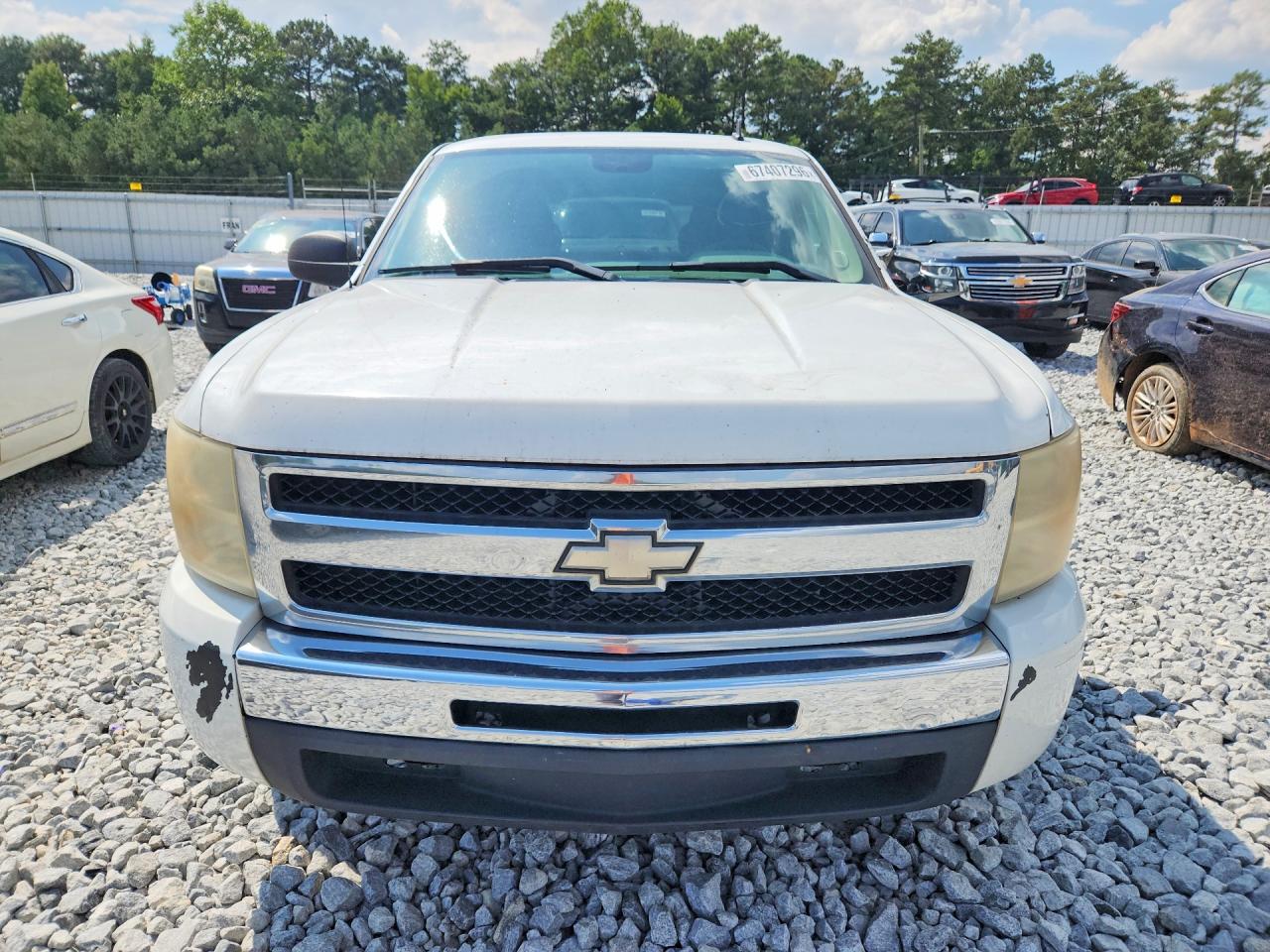 2009 Chevrolet Silverado C1500 White vin: 1GCEC19X69Z114323