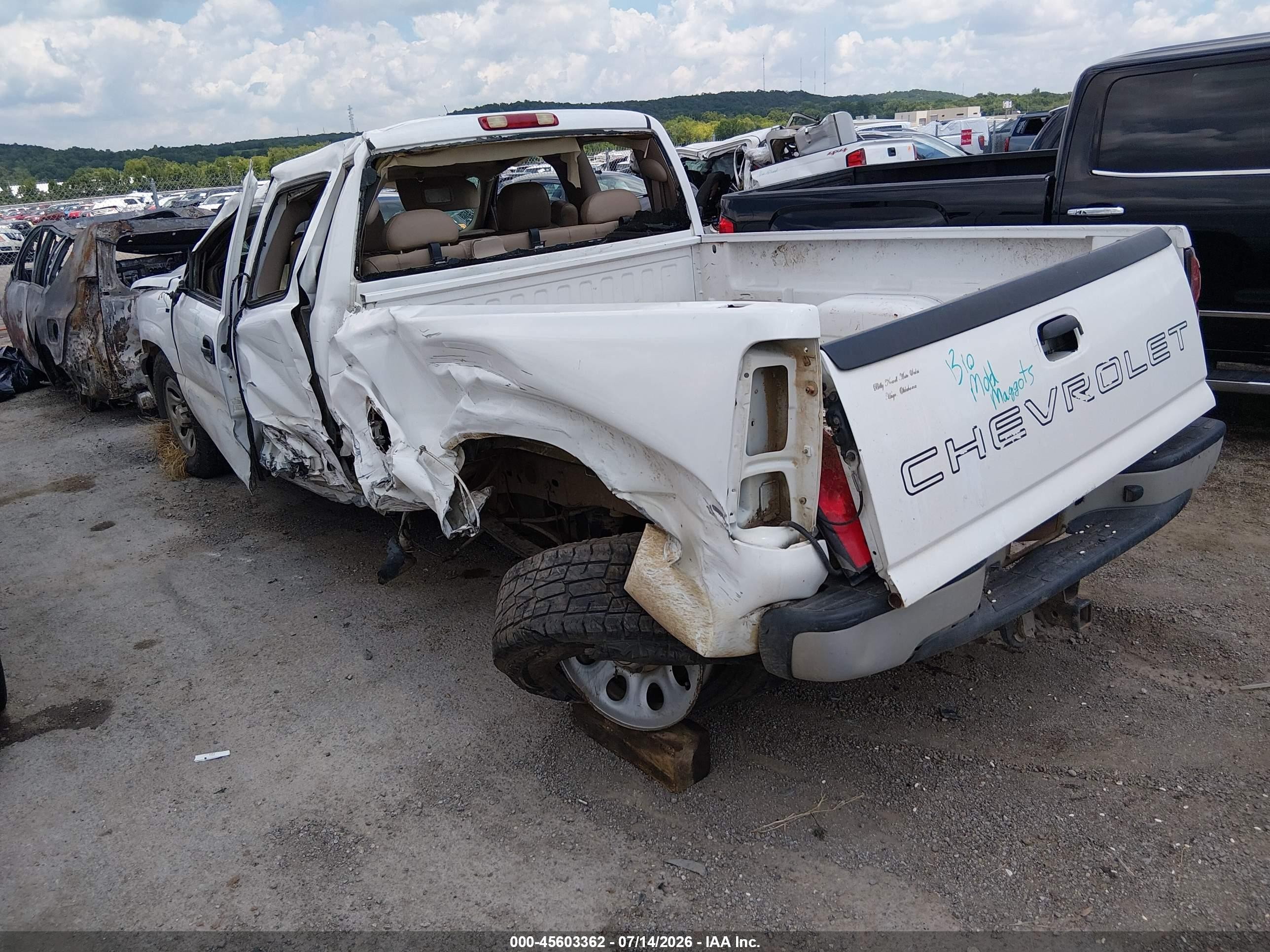 2006 Chevrolet Silverado 1500 Work Truck White vin: 1GCEC19Z16Z248900