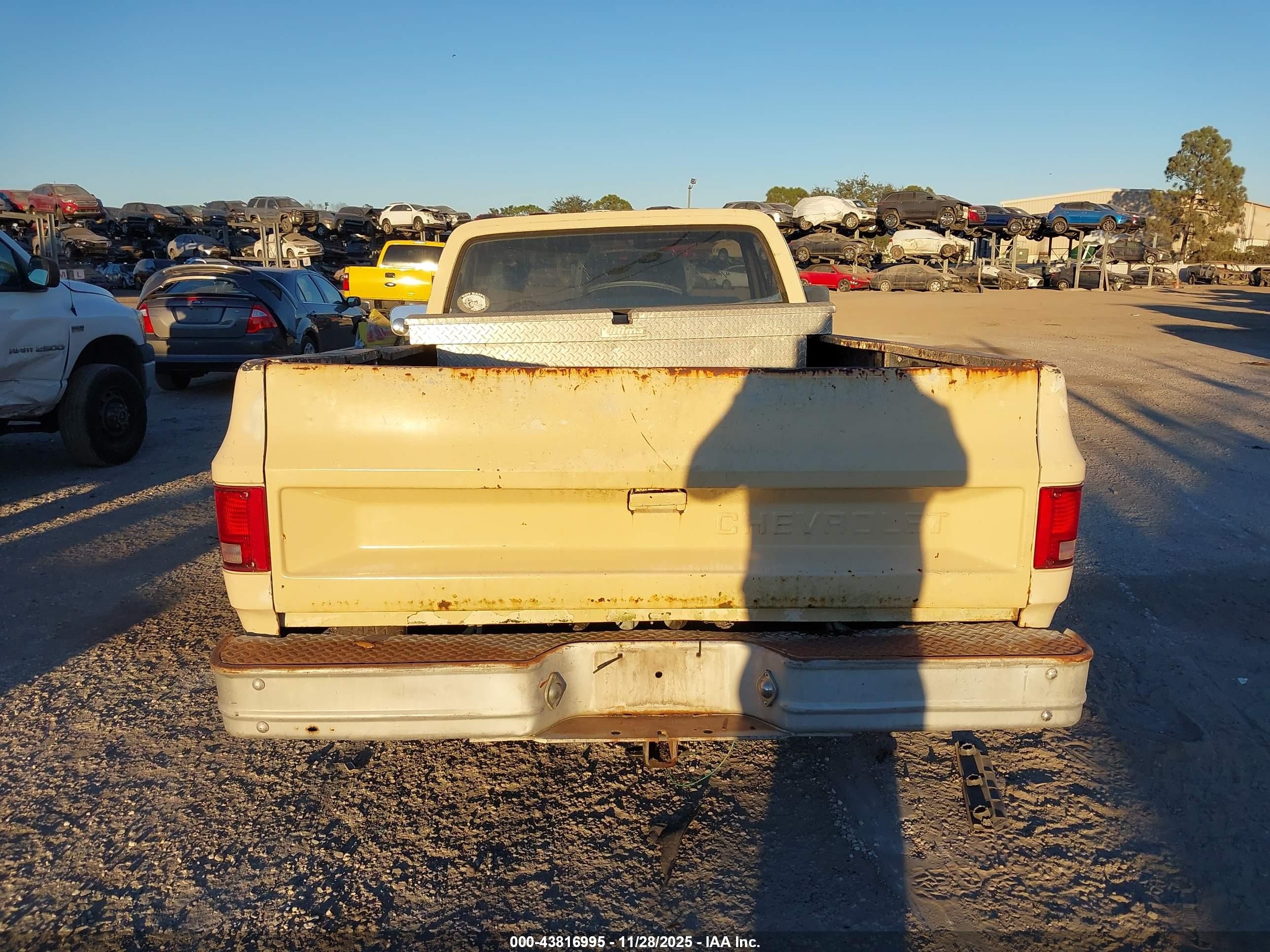 1986 Chevrolet C20   Beige vin: 1GCEC24NXGF395164