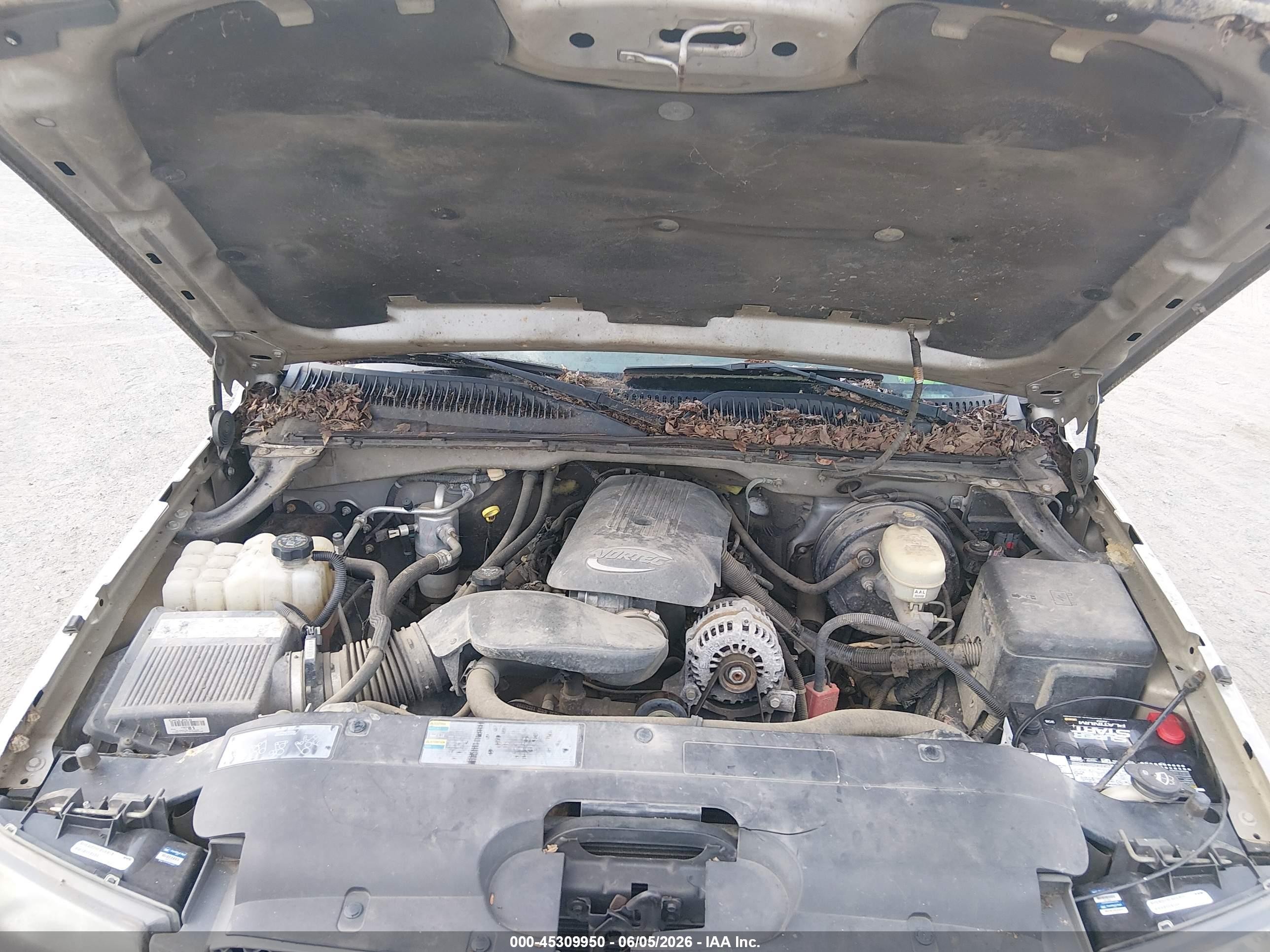 2005 Chevrolet Silverado 1500 Work Truck Бежевый vin: 1GCEK14V15Z342720