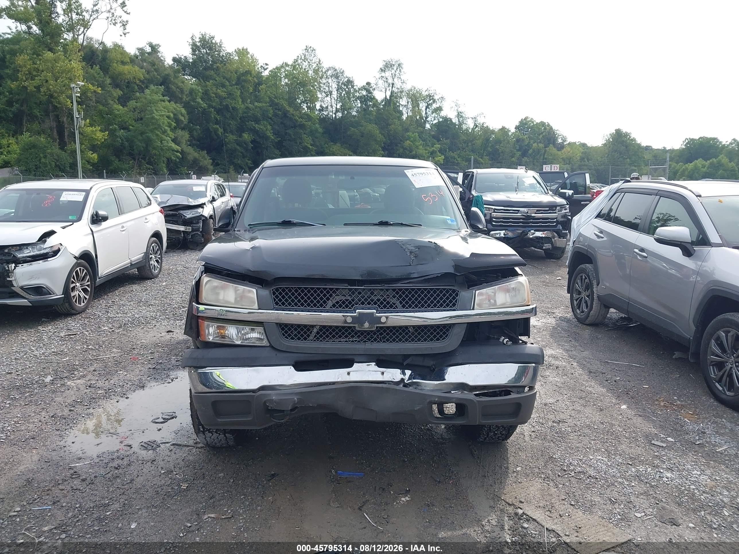 2004 Chevrolet Silverado 1500   Черный vin: 1GCEK14V34Z235750