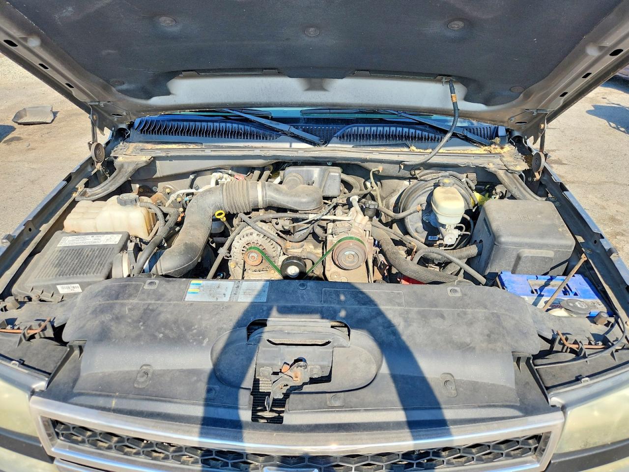2006 Chevrolet Silverado K1500 Beige vin: 1GCEK14X56Z130809