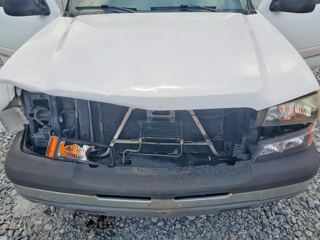 2005 Chevrolet Silverado K1500 White vin: 1GCEK19B05E289837