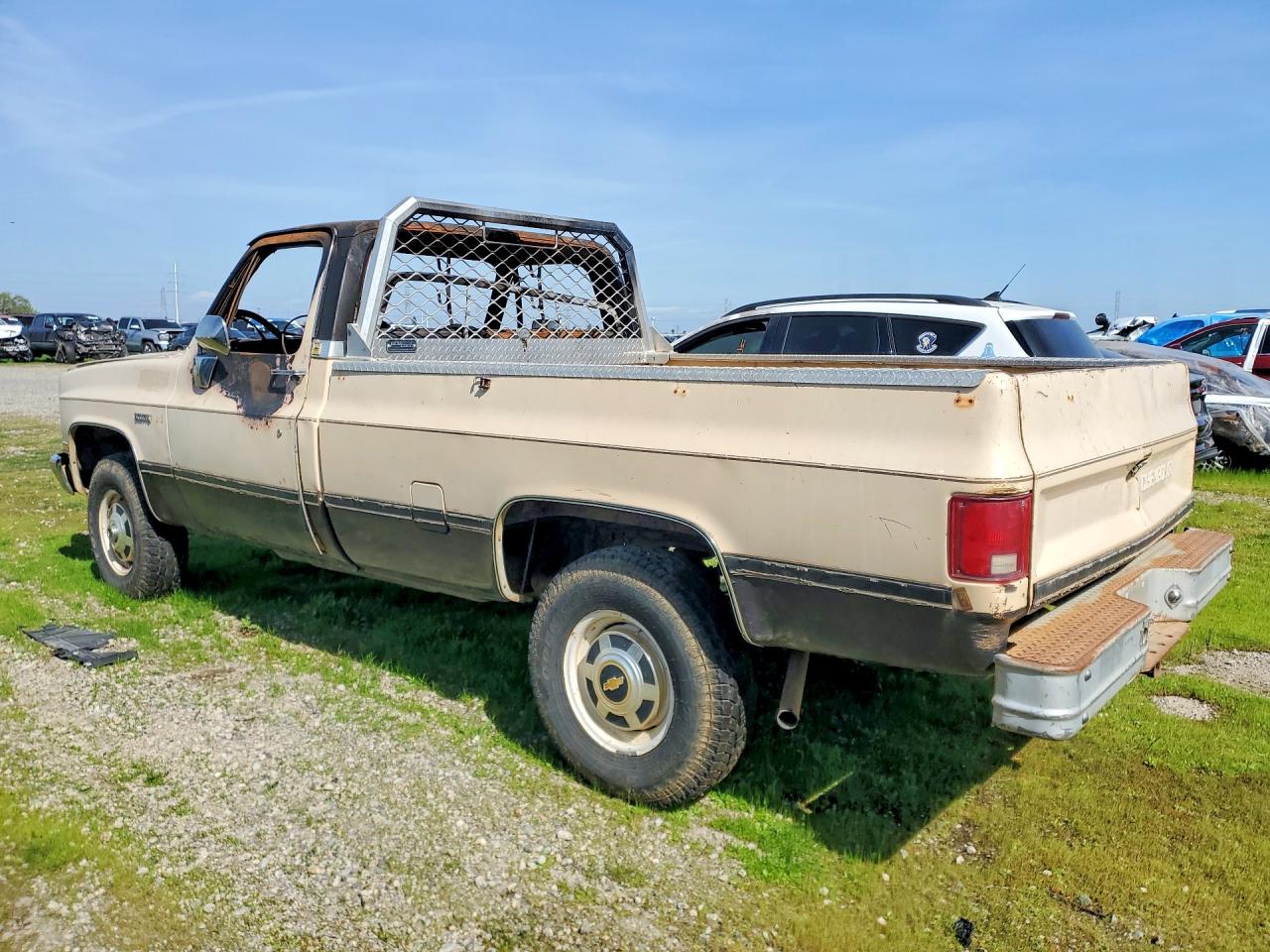 1986 Chevrolet K20 Beige vin: 1GCGK24M1GJ139267