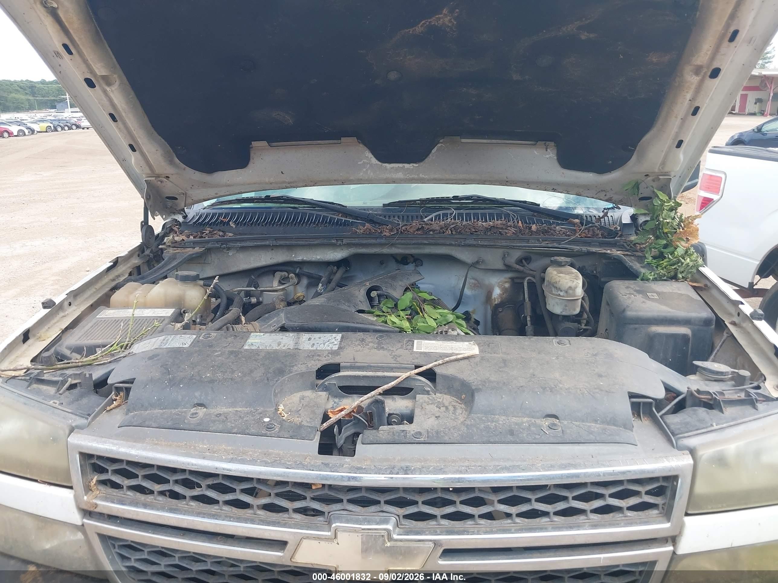 2005 Chevrolet Silverado 2500hd Work Truck Белый vin: 1GCHC24U55E314806