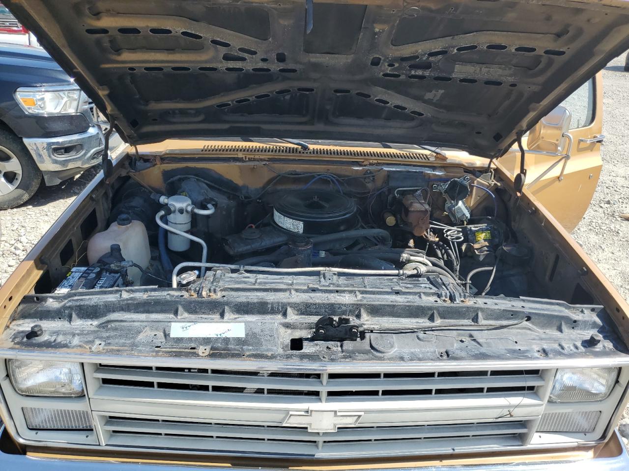1985 Chevrolet C30 Золотой vin: 1GCHC33W6FS161686